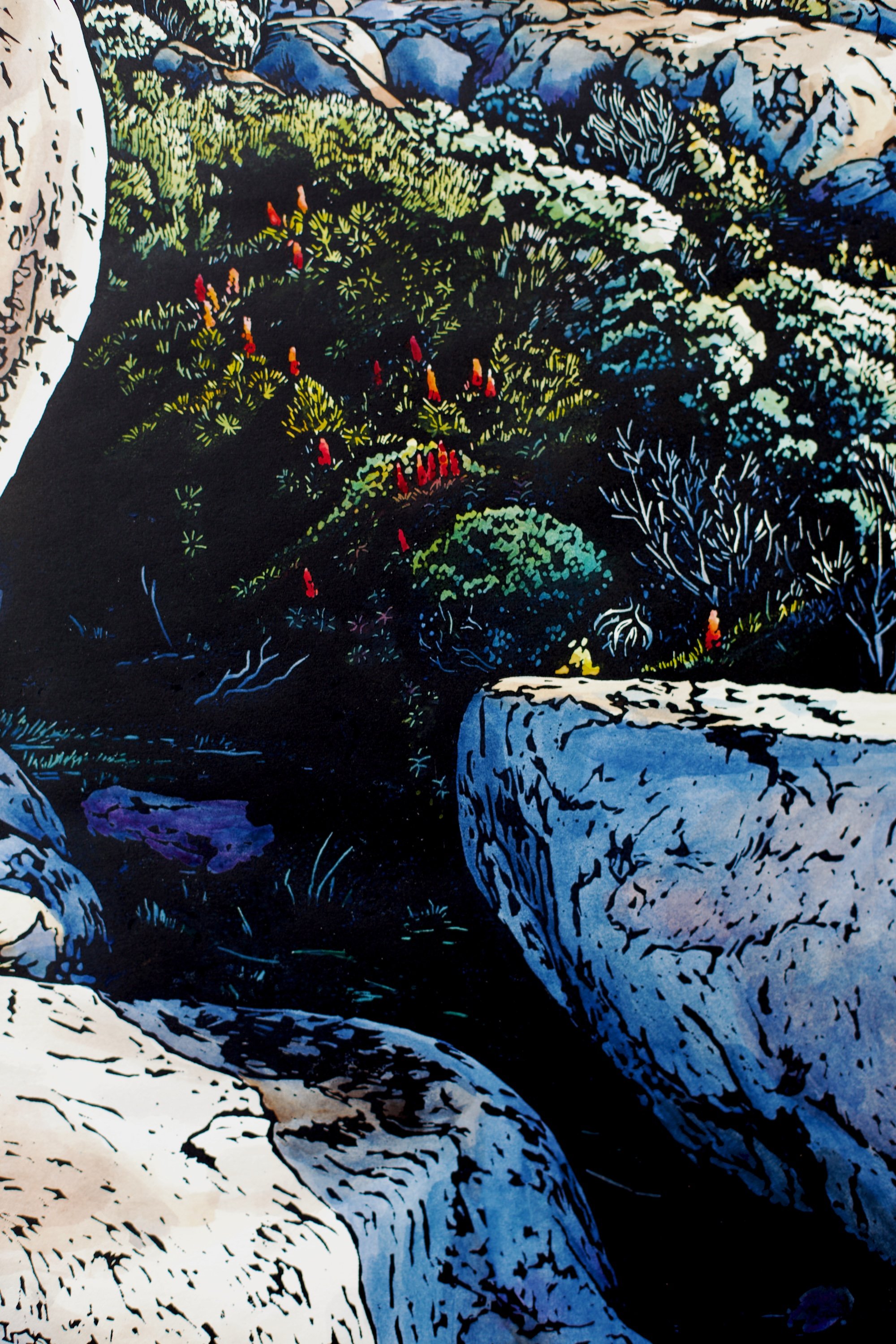 Grace Gladdish Tasmanian Artist