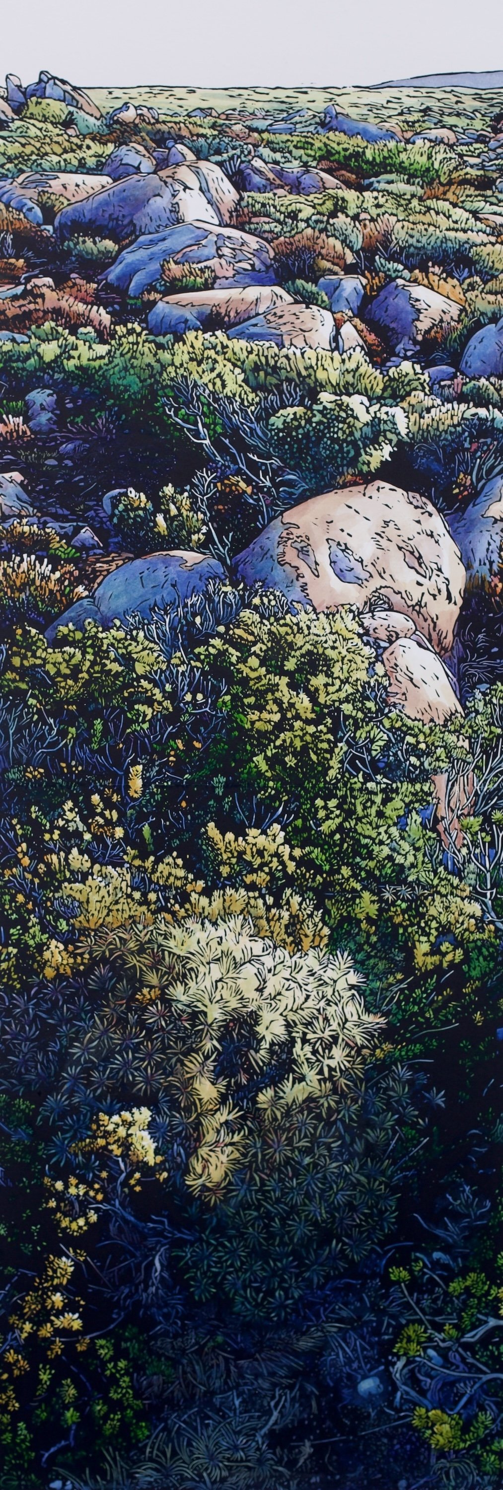 Grace Gladdish Tasmanian Artist printmaker