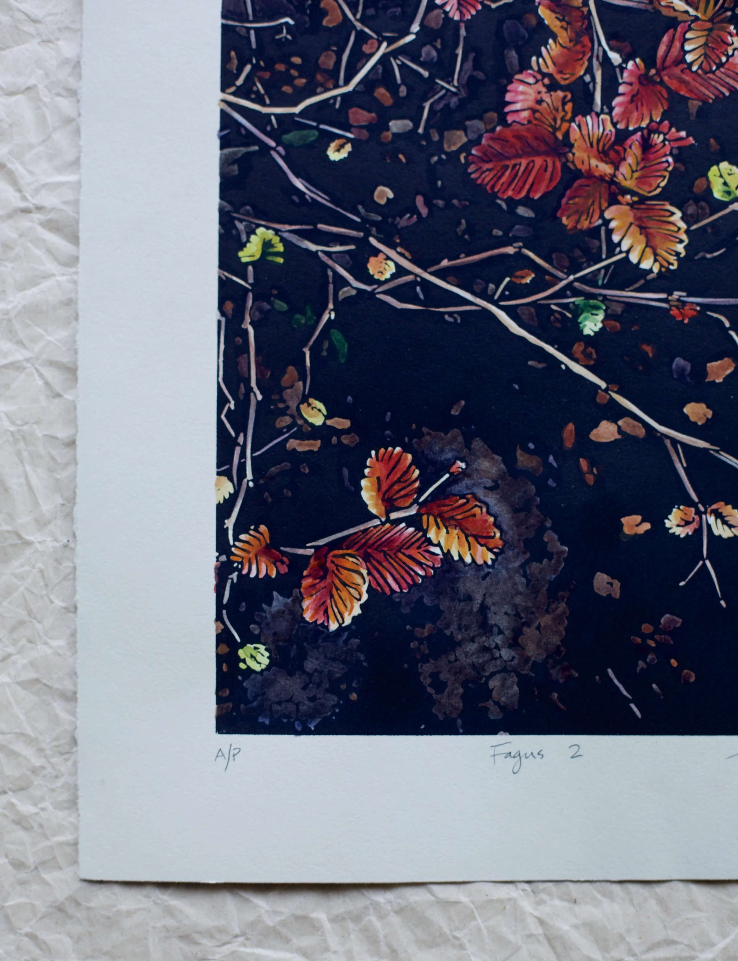 Grace Gladdish Tasmanian Artist linocut