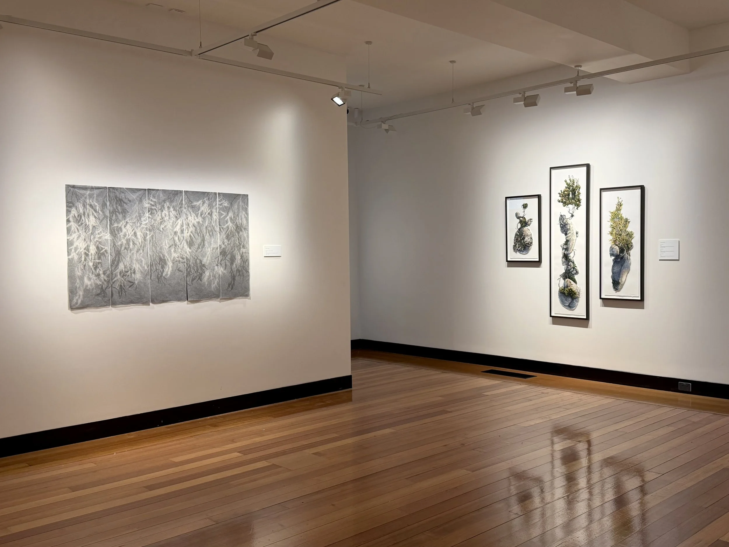 'Surfacing' Devonport Regional Gallery 2026