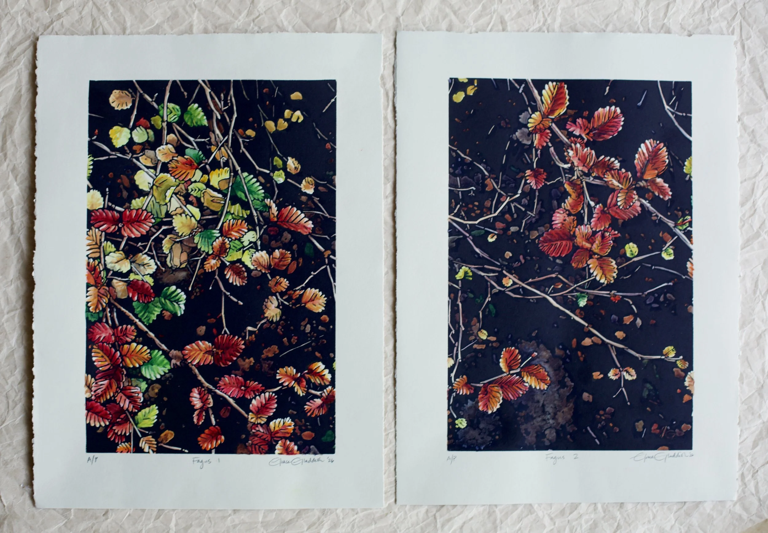 Grace Gladdish Tasmanian Artist linocut