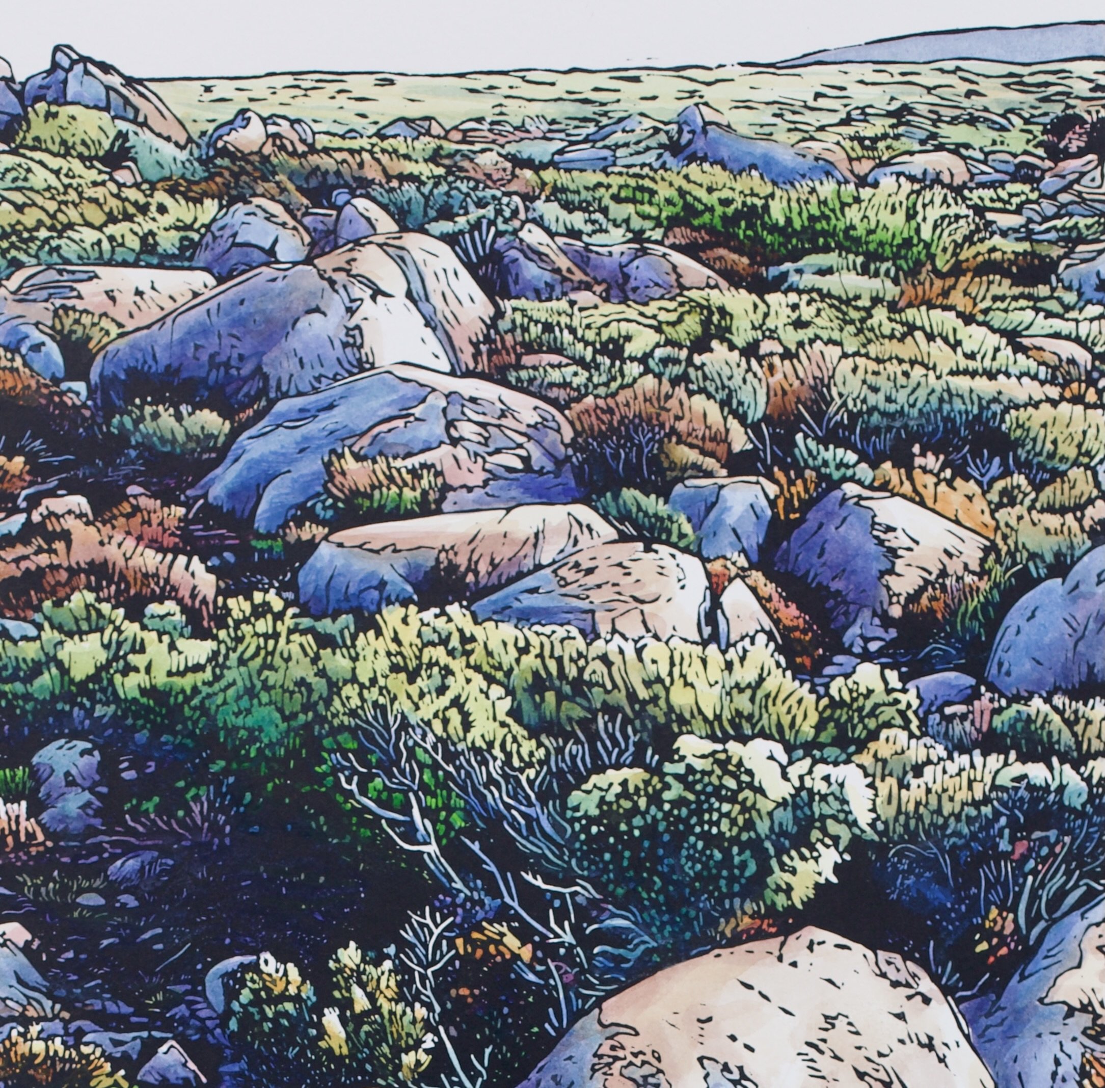 Grace Gladdish Tasmanian Artist printmaker