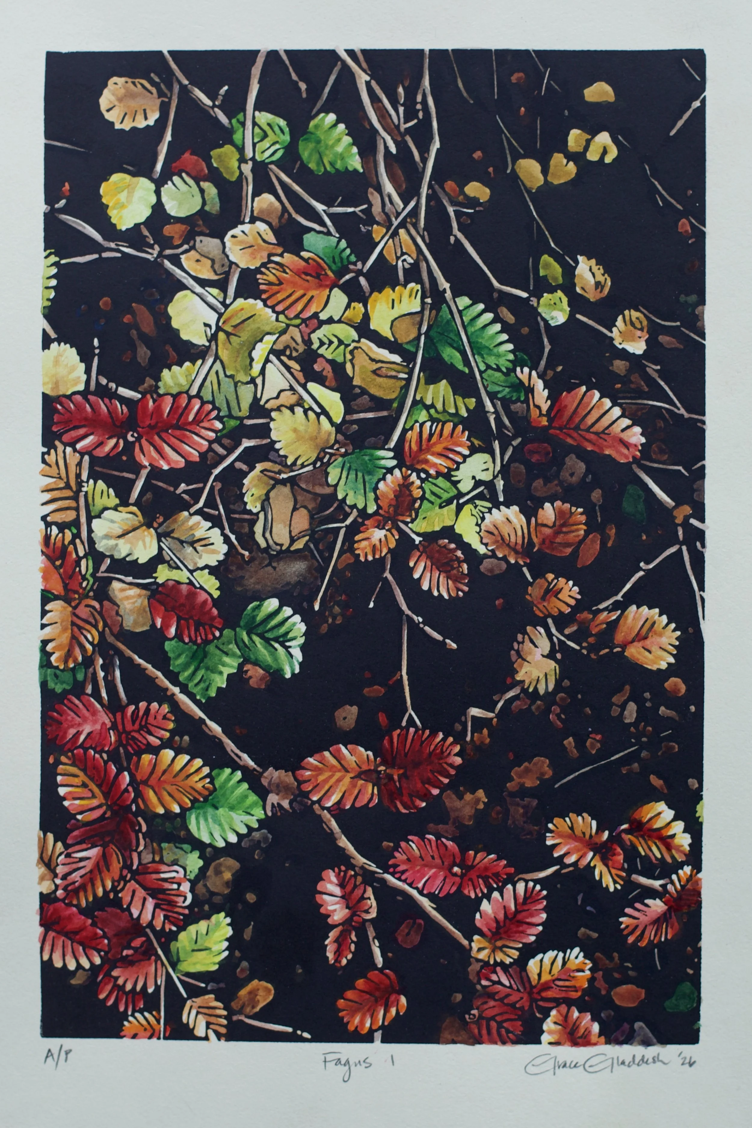 Grace Gladdish Tasmanian Artist