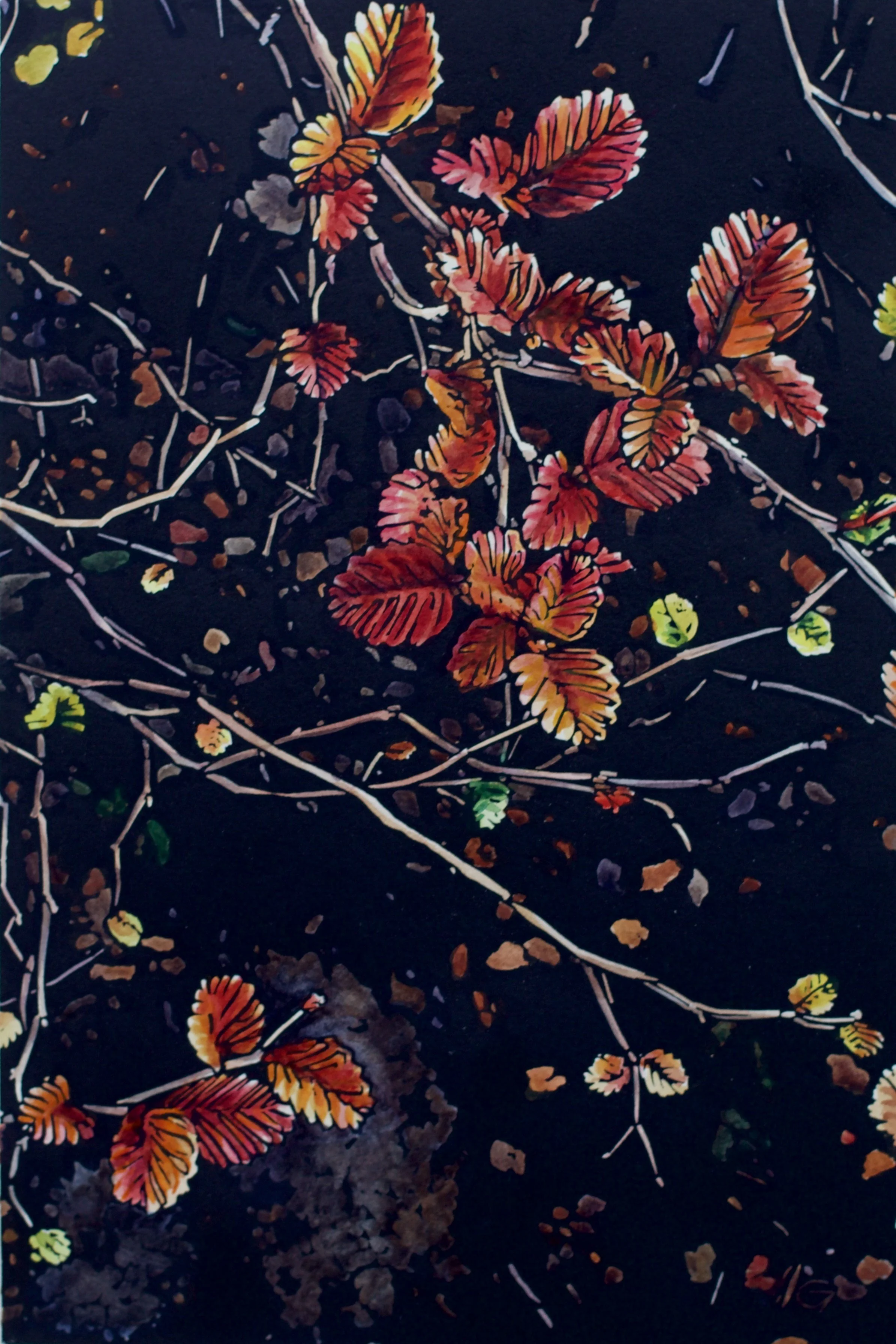 Grace Gladdish Tasmanian Artist printmaker