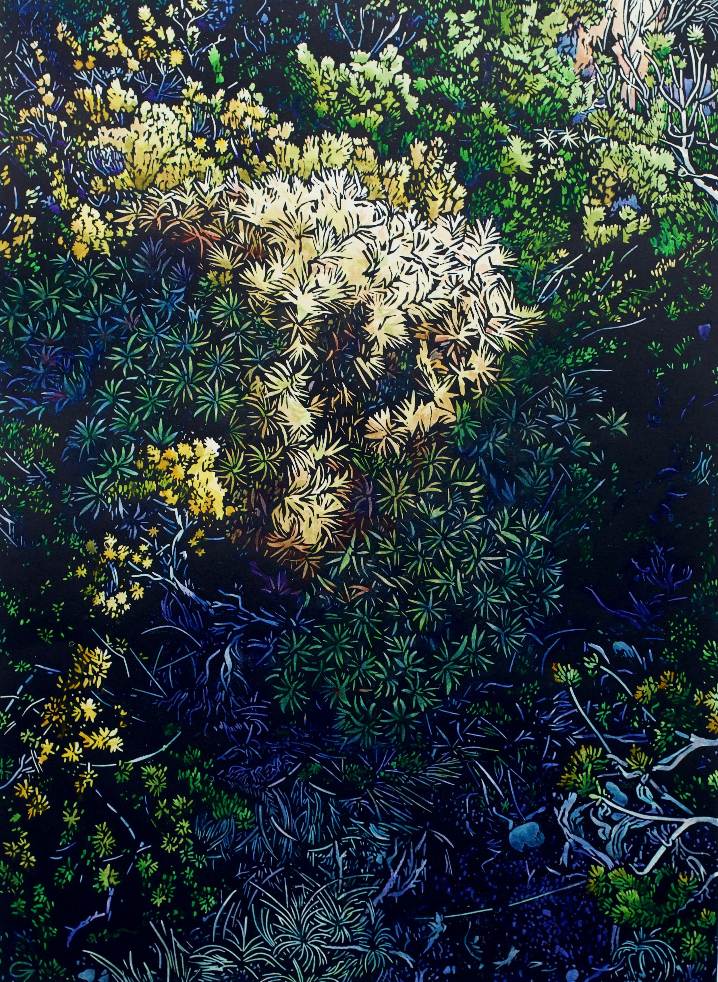 'Blue Below'  40 cm h x 30 cm w  SOLD