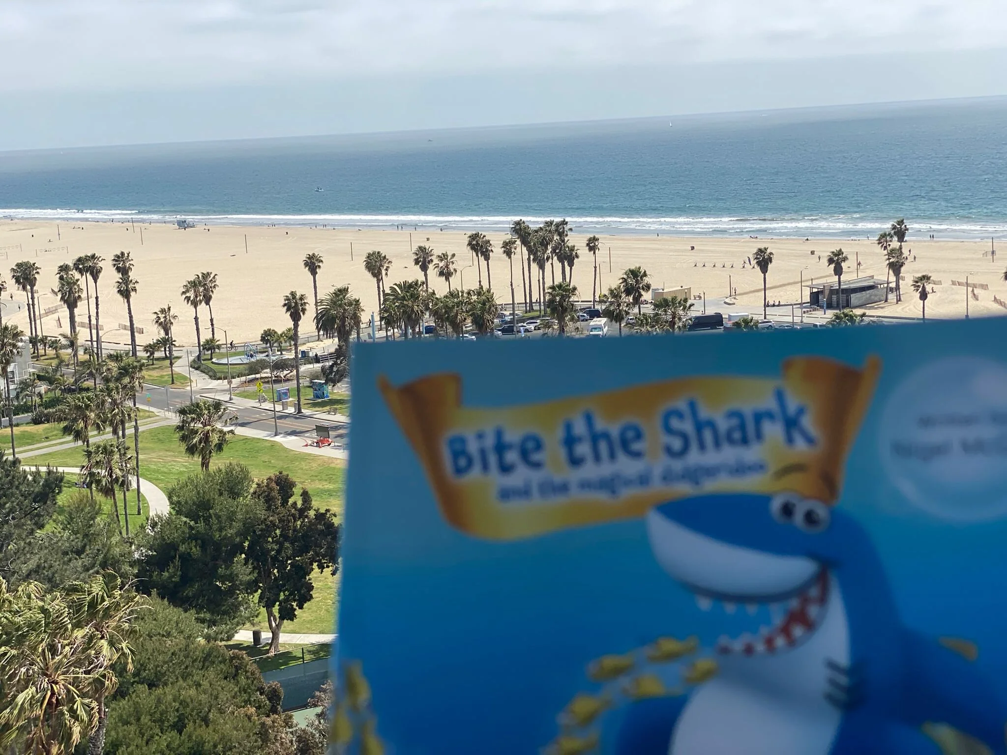 Bite lands in LA! 🦈 👀✈️🇺🇸☀️🌊🏖