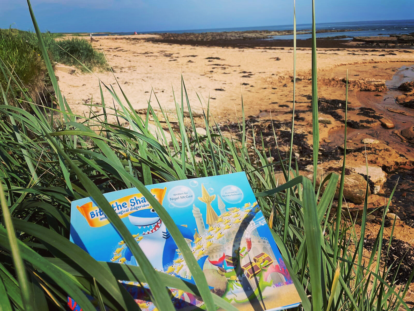 Bite’s in Kingsbarns 🏴󠁧󠁢󠁳󠁣󠁴󠁿🦈📚🏖🌊💦🏊‍♀️🏊‍♂️☀️☀️🙌🏴󠁧󠁢󠁳󠁣󠁴󠁿