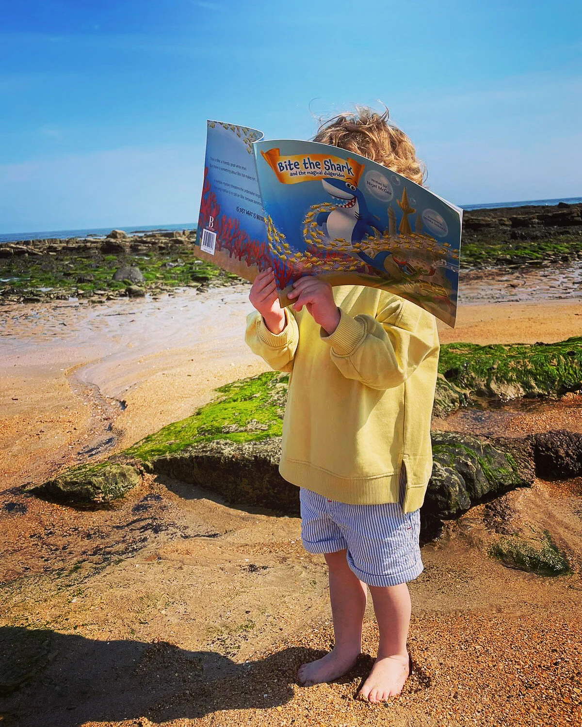 A wonderful sunny day for a bit of Bite!🦈📕☀️🌊🏖😎