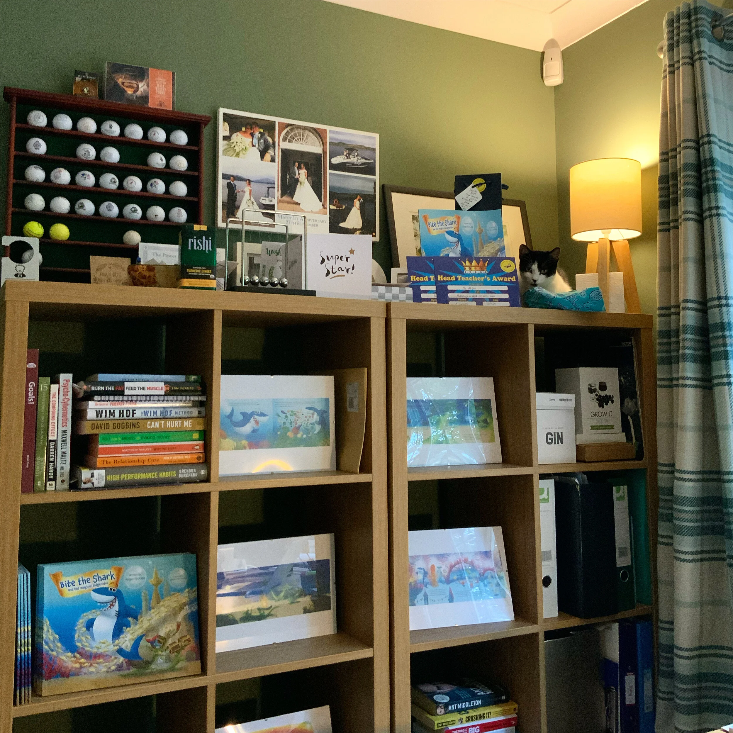 Violet the kitten (if you can spot her on the shelf) checking in on the progress of Bite’s next adventure! 🐈‍👀🦈📚😉