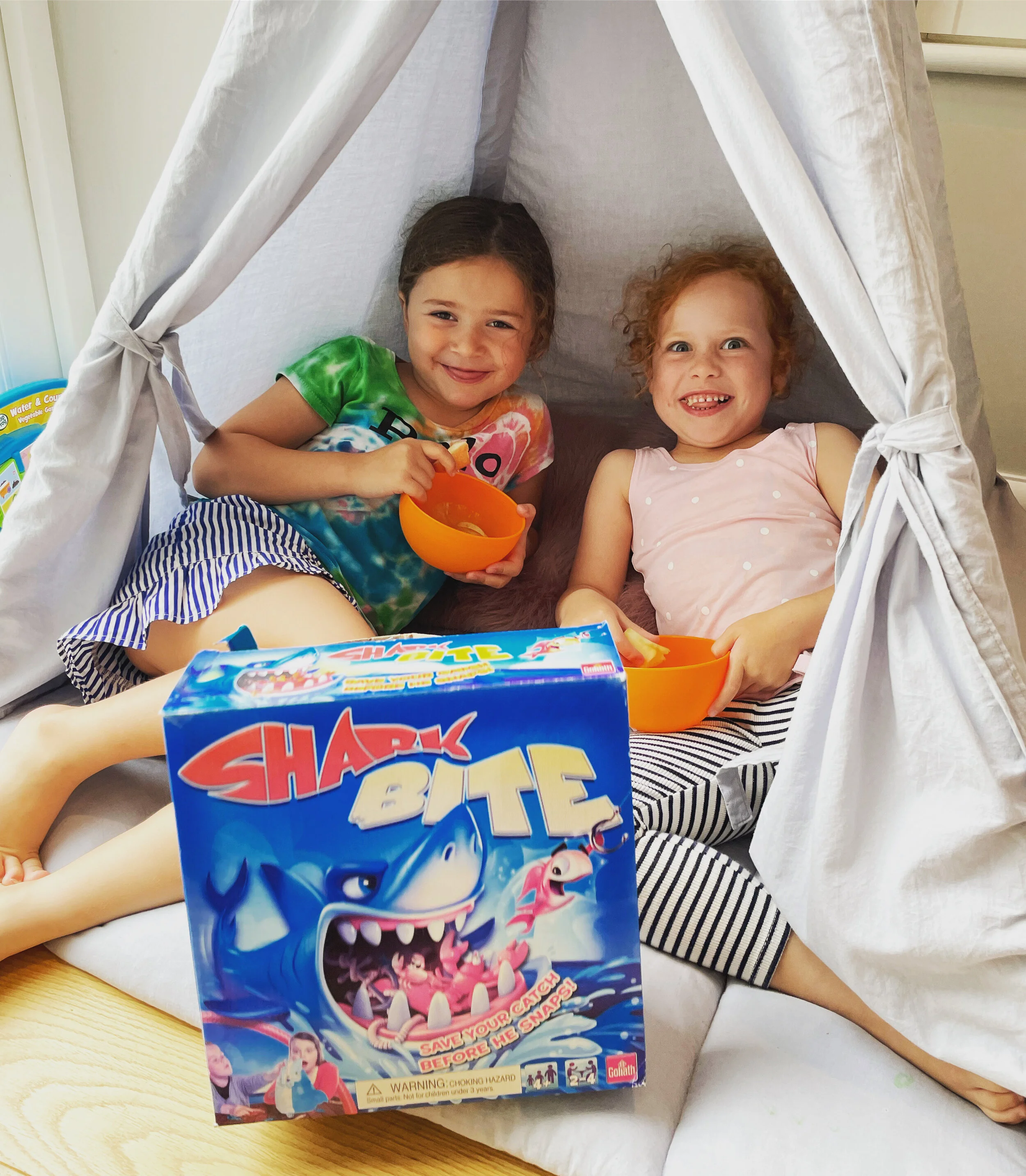 co-author Evie &amp; BF Flossy just can’t get enough of 🦈🦈 after reading @bitethesharkbook</a> .. ! 🦈📕💕