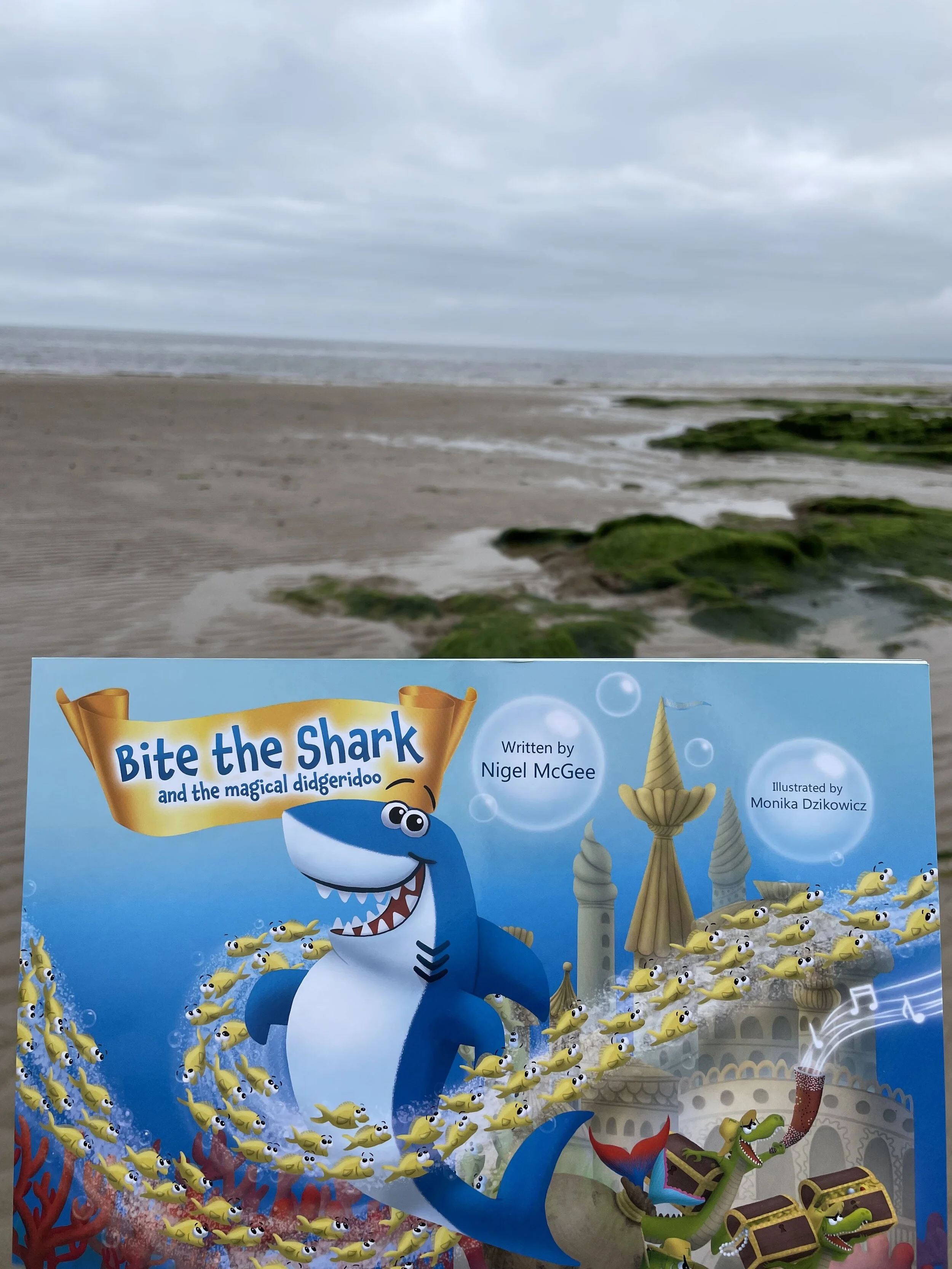 Bite's on the beach @nairn @sharkweek🦈🙌🦈🙌🤩🏌️‍♂️⛳️✍️📕