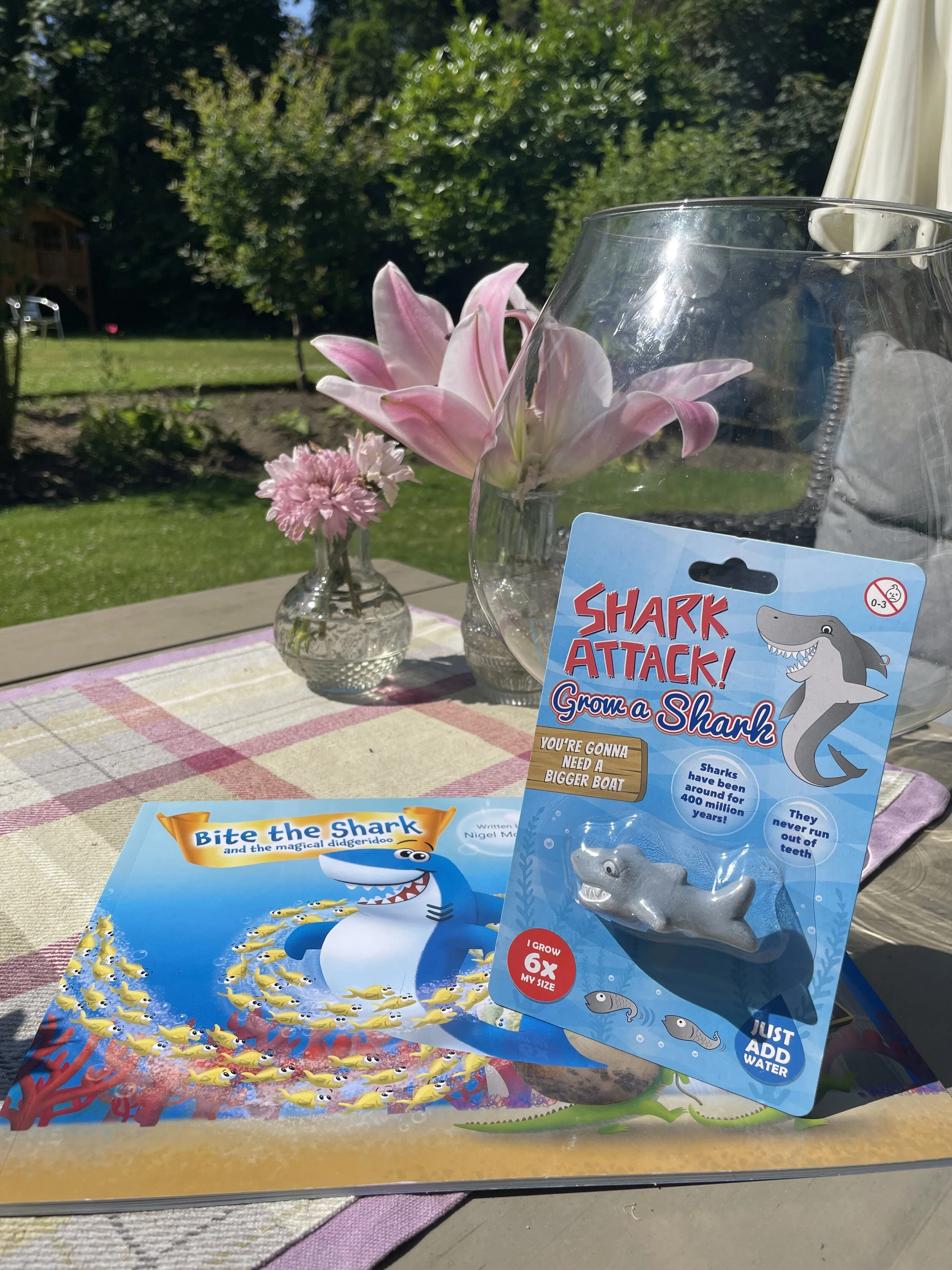 #growashark #day1 🤩🦈 will he be as big, strong and friendly as #bitetheshark 