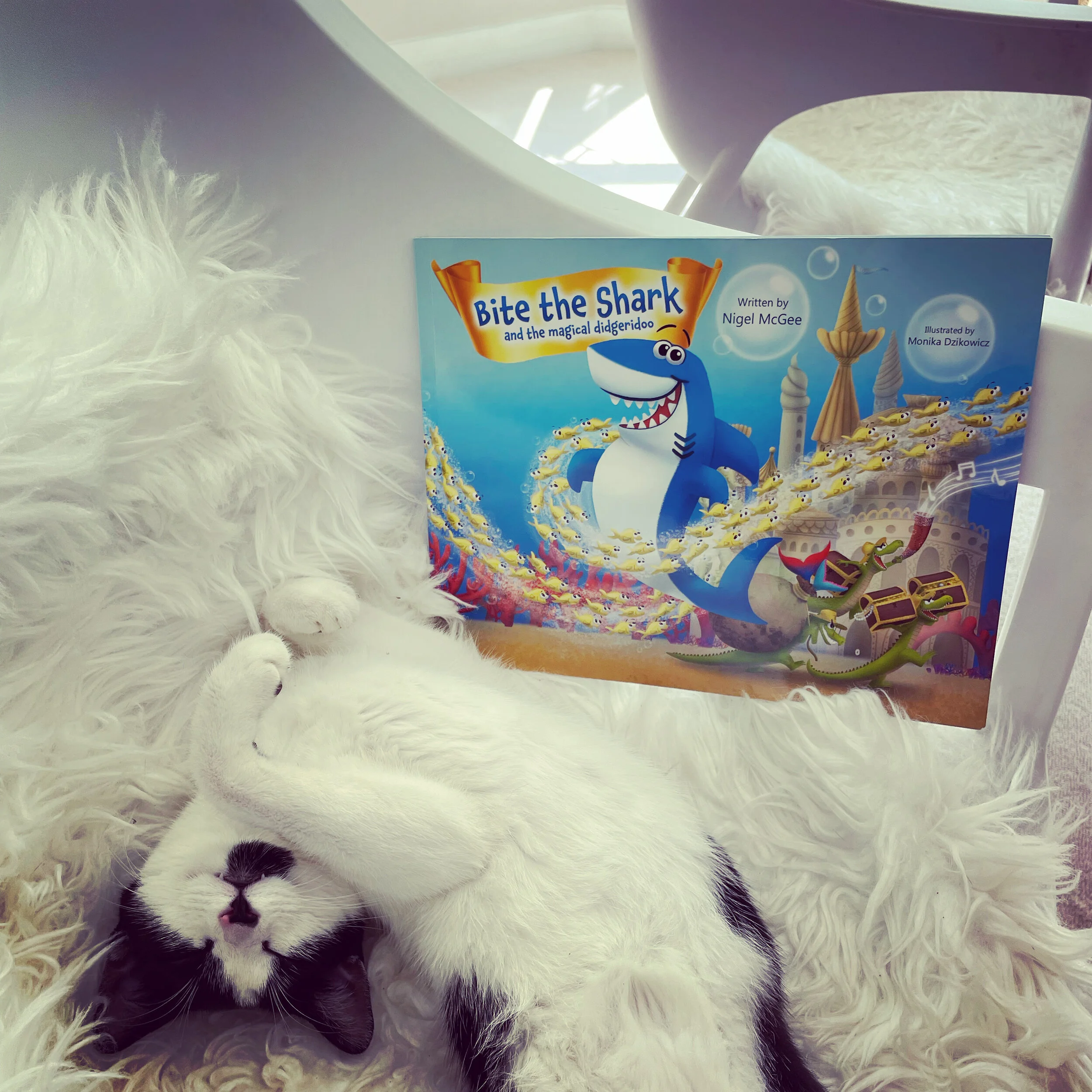 Violet the kitten-cat with #bitetheshark</a>, after a night out! 🐈🦈🌙😴