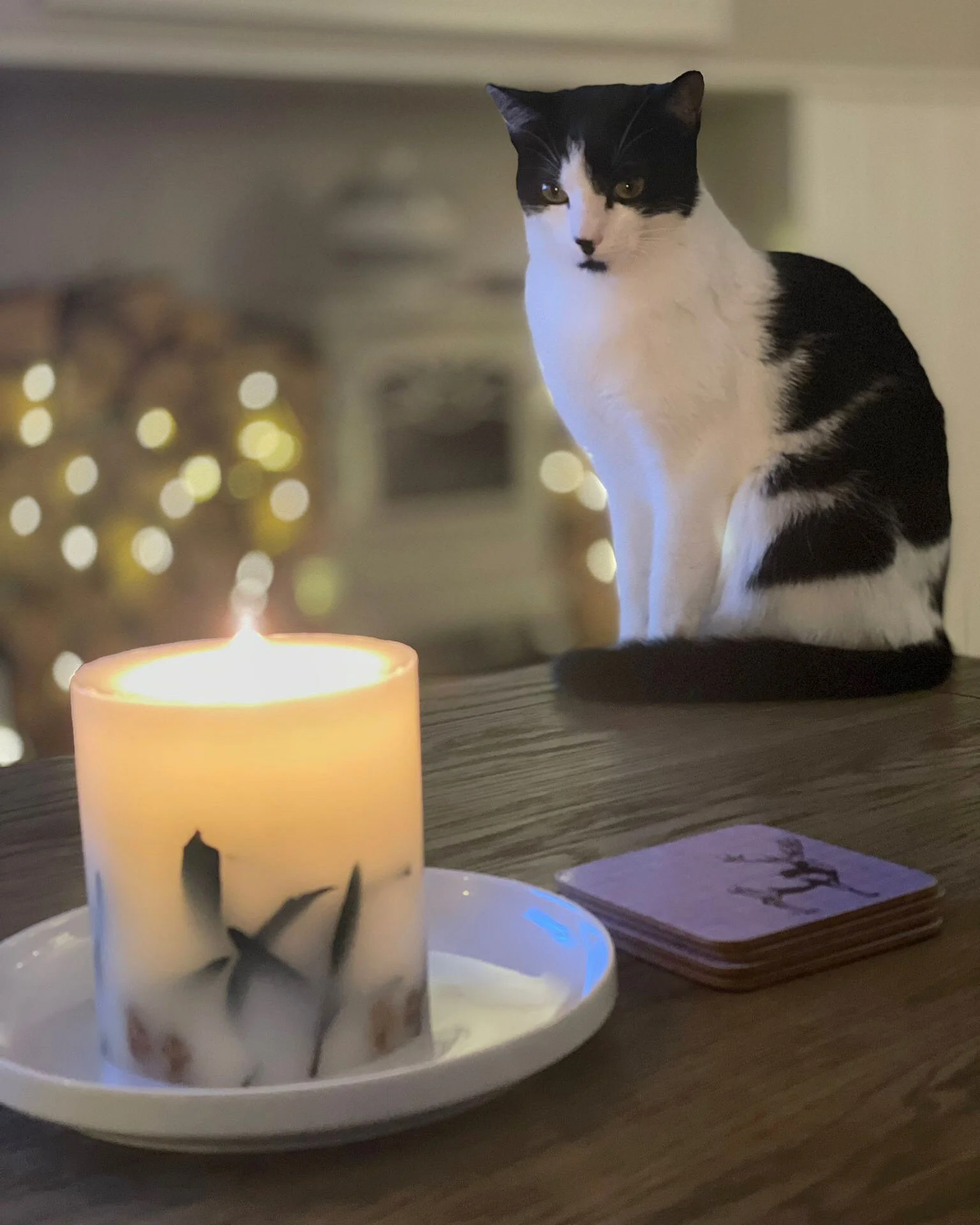 Look into my eyes... 👀 🕯 🐈‍⬛