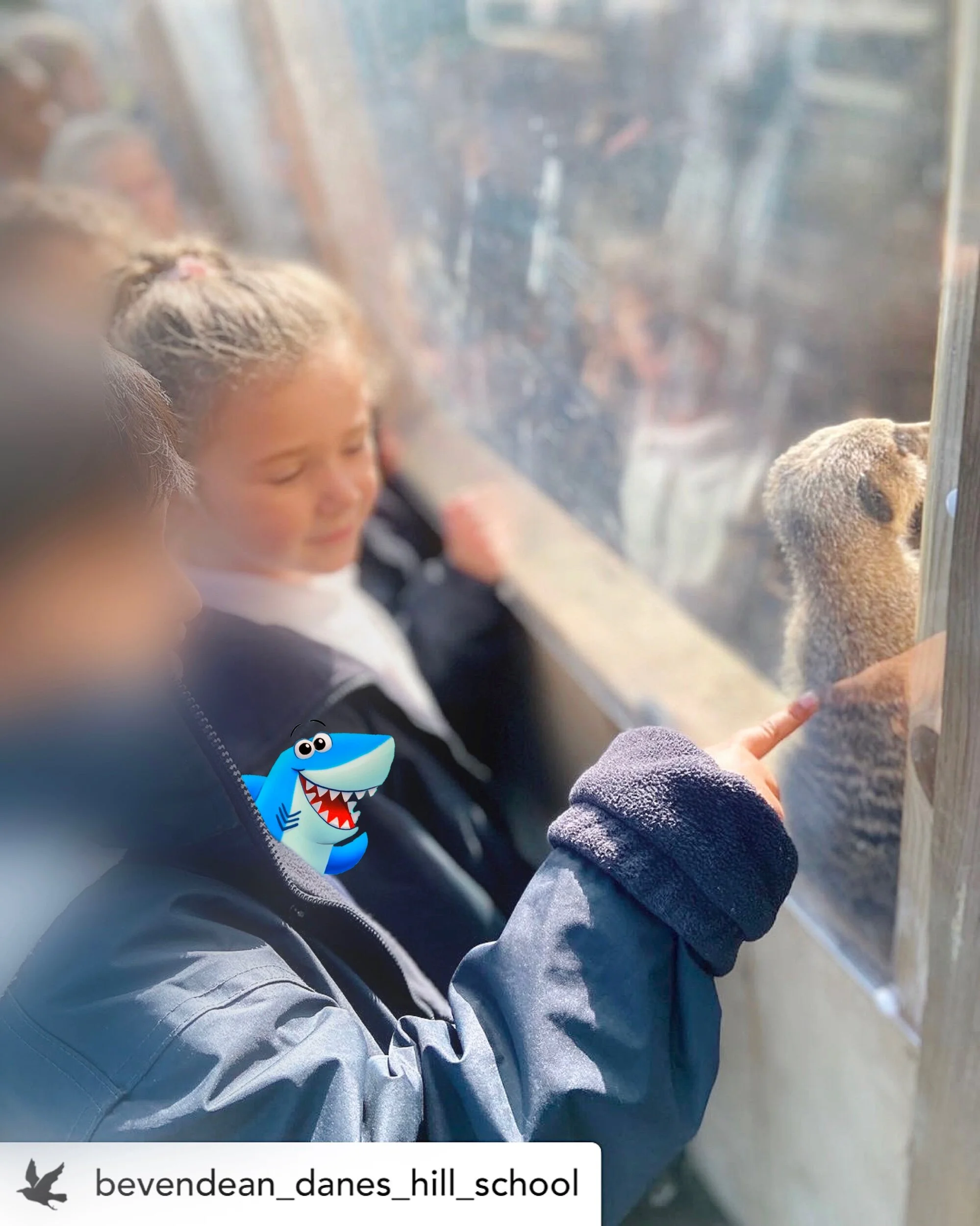 Posted @withregram • @bevendean danes hill_school