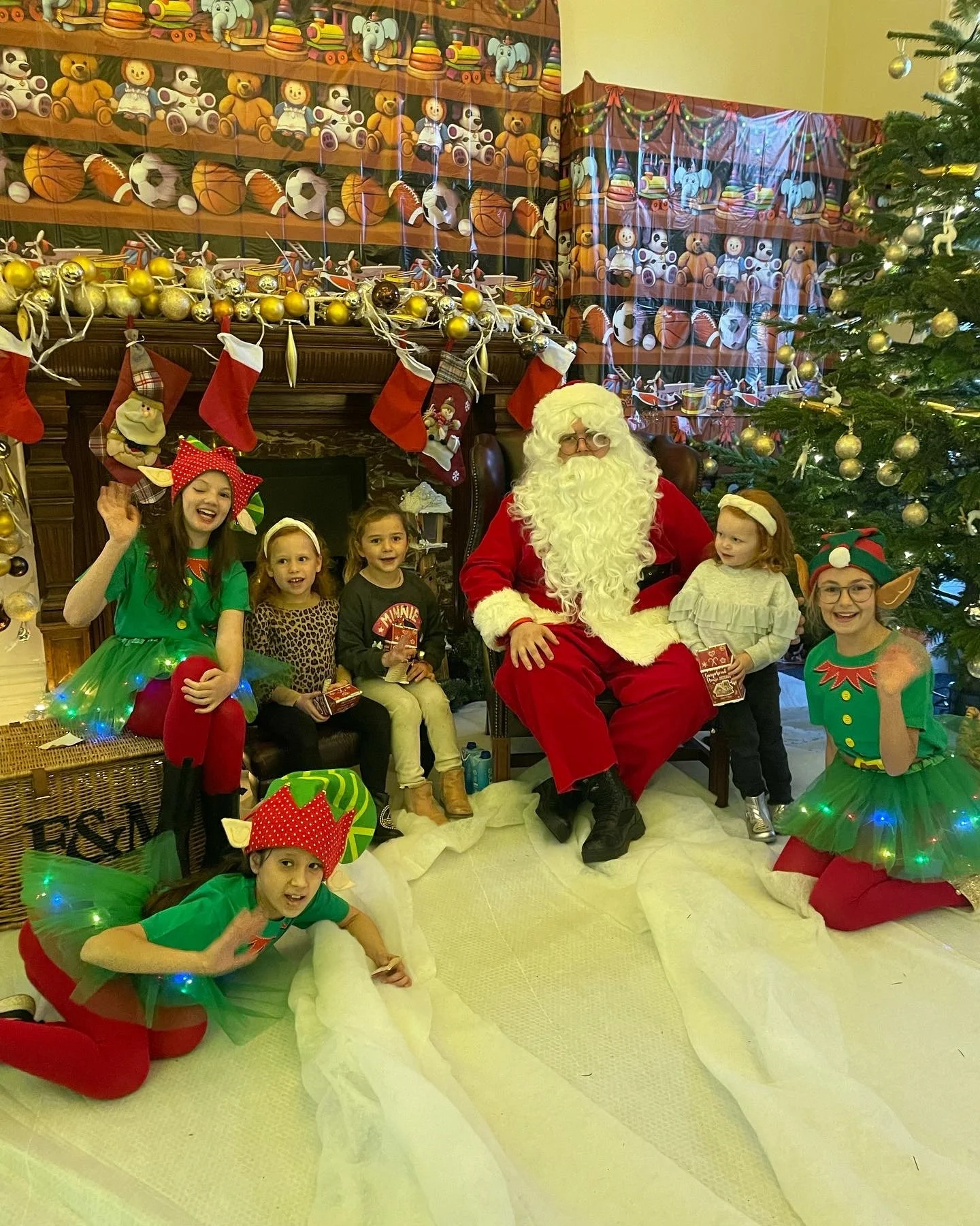 Danes Hill Christmas Fayre