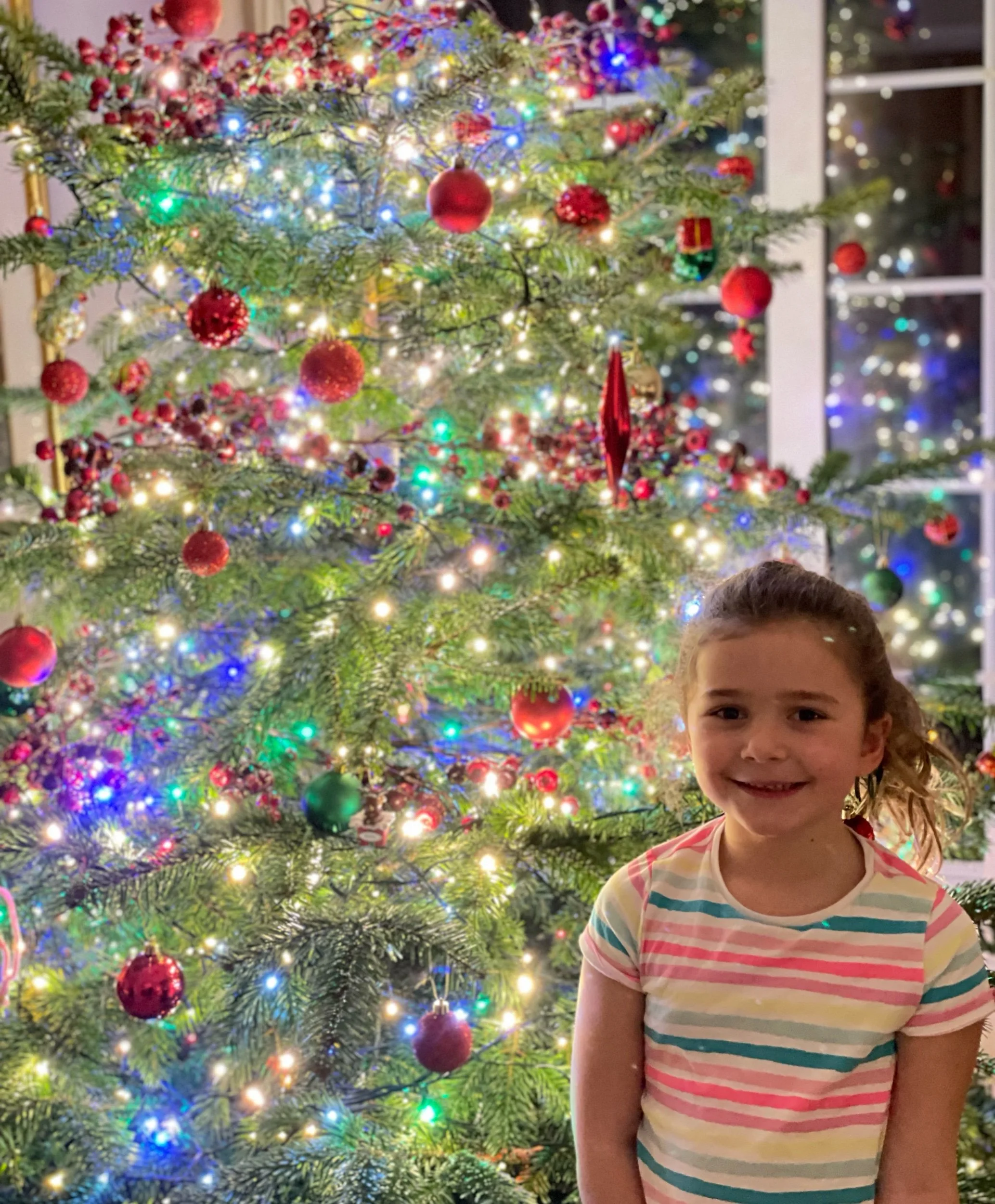 Came home this evening to see this pair of beauties!! 👸🎄❤️💚