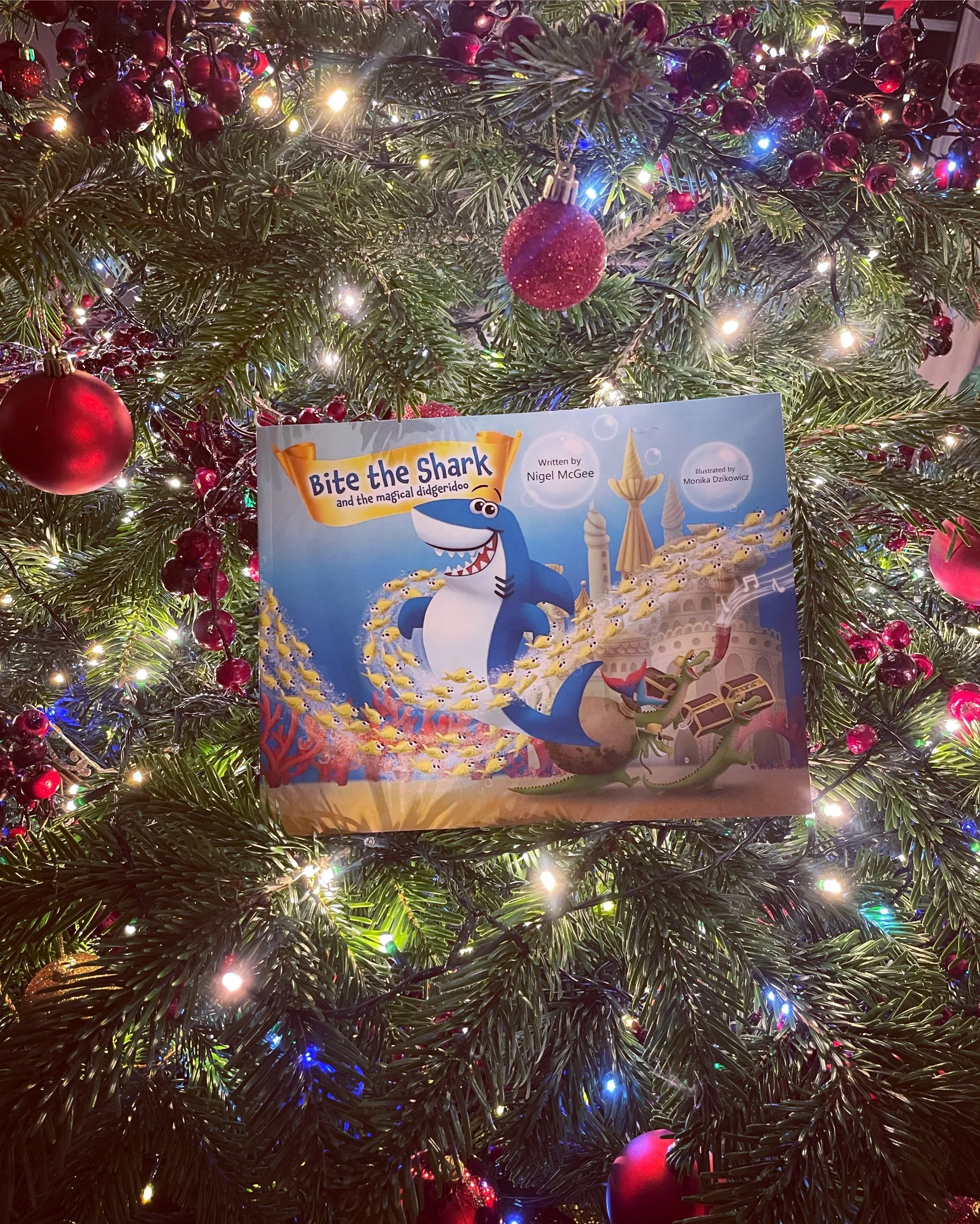 #thefirstgiftofchristmas 🎁