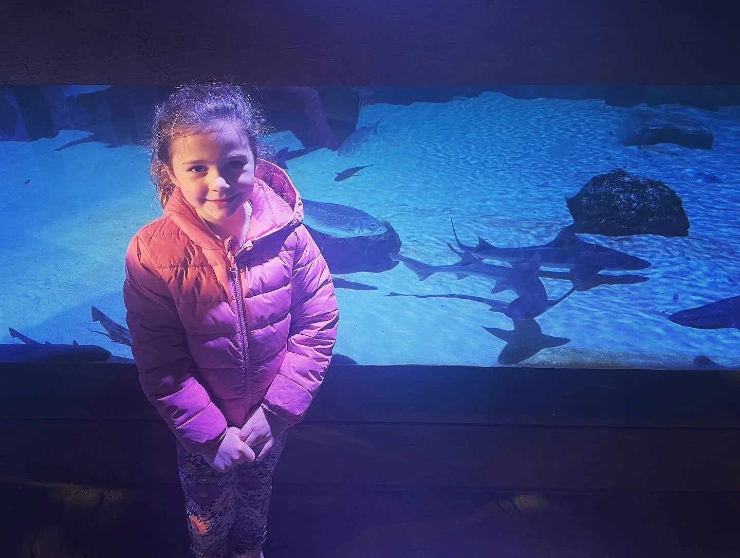 Lots of #halfterm fun with Granny and the cousins! They have even found a Bite!! 🦈💙🐠🐟🏴󠁧󠁢󠁳󠁣󠁴󠁿