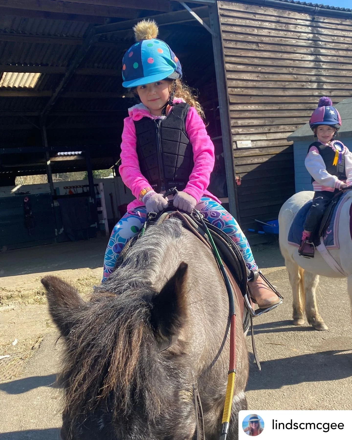 @lindscmcgee Please Daddy… can I have a pony? 🐴