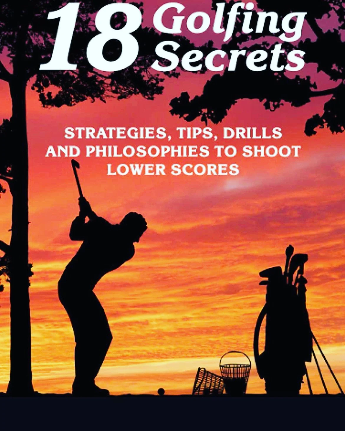 A brilliant golfing companion⛳️