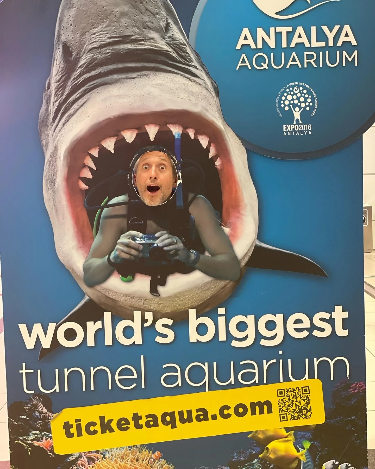 Where is Bite next?🦈💙