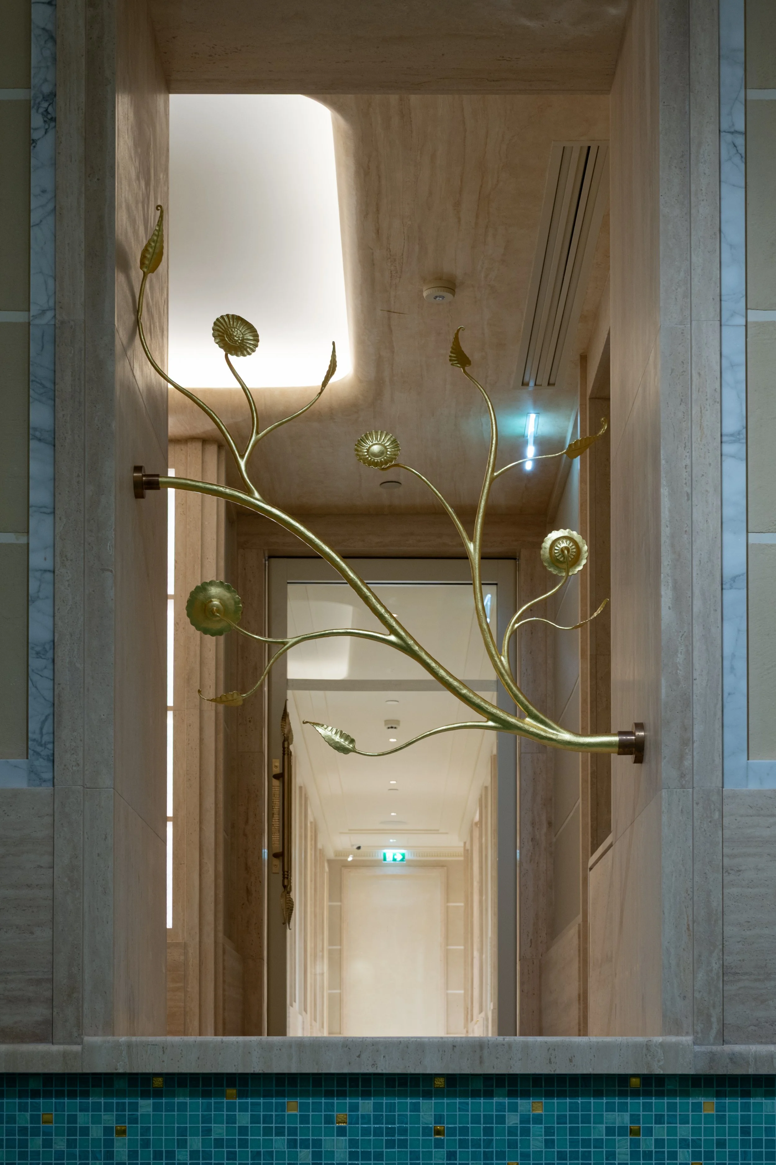 branche hdc entrée depuis piscine.jpg