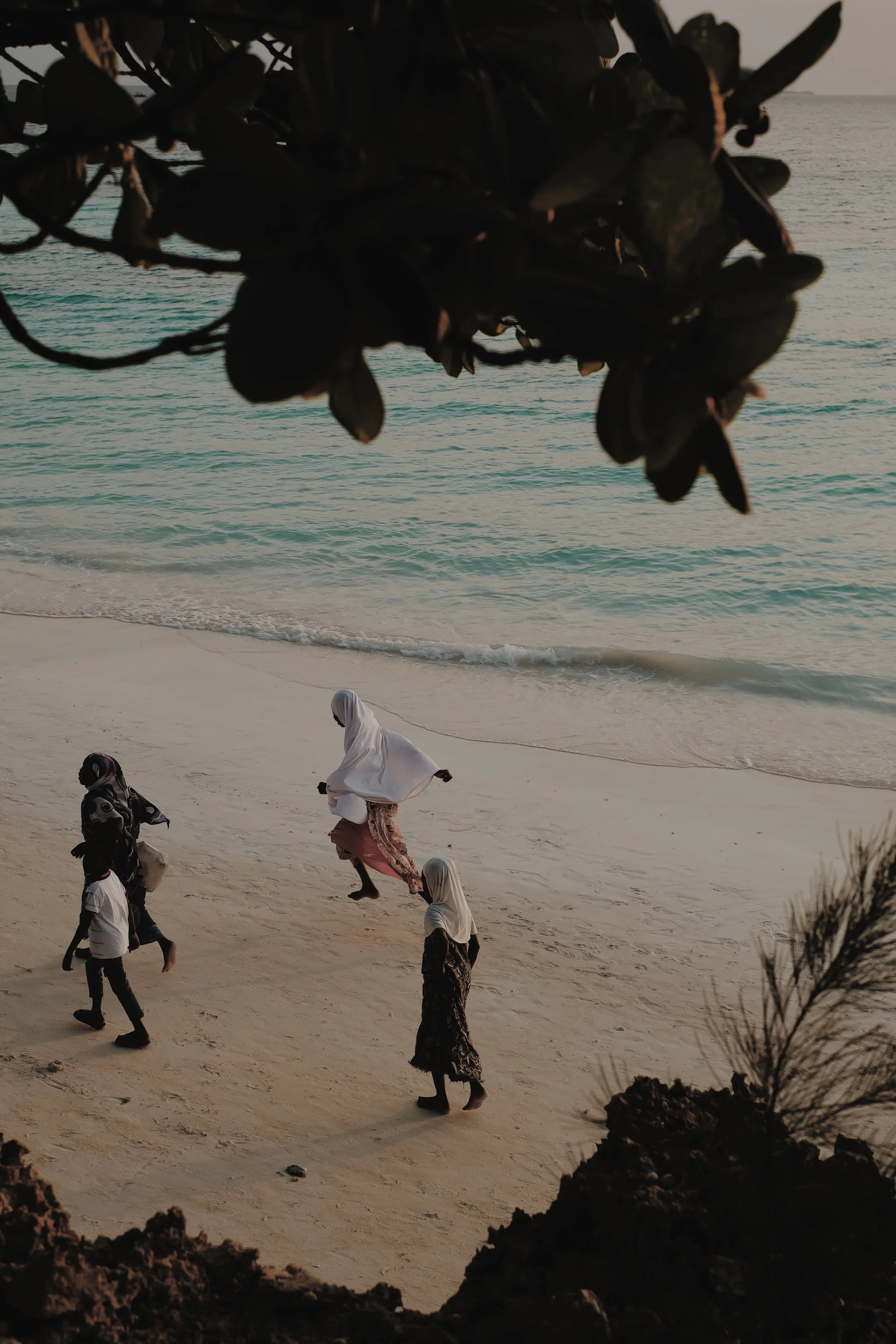 zanzibar formalités