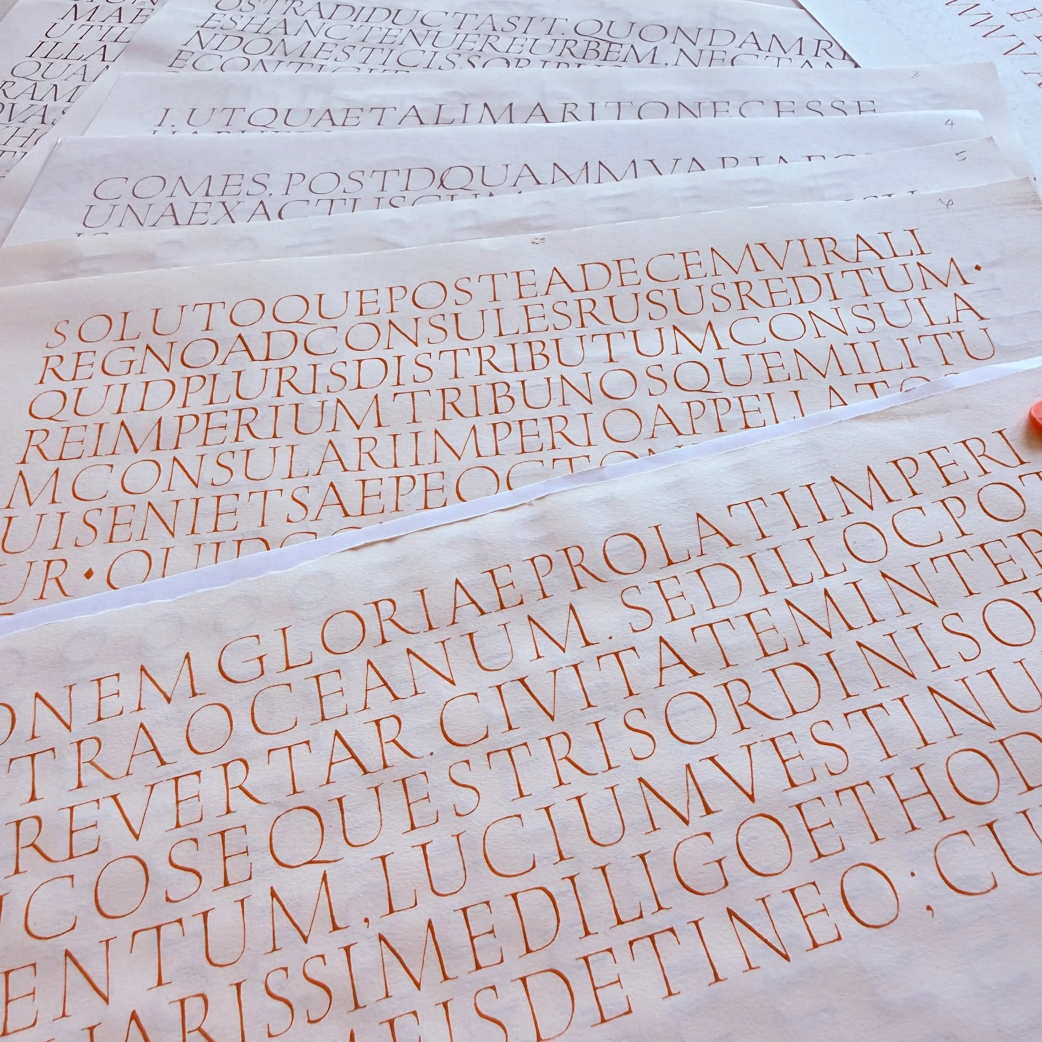 𝗧𝗔𝗕𝗨𝗟𝗔 𝗖𝗟𝗔𝗨𝗗𝗜𝗔𝗡𝗔

Sto usando il testo della Tabula Claudiana per praticare le mie Capitali Romane a punta fine. Ho iniziato a Novembre 2025. Riesco a farne poco ogni settimana, ma non voglio fermarmi.
Il prossimo passo sar&agrave; farl