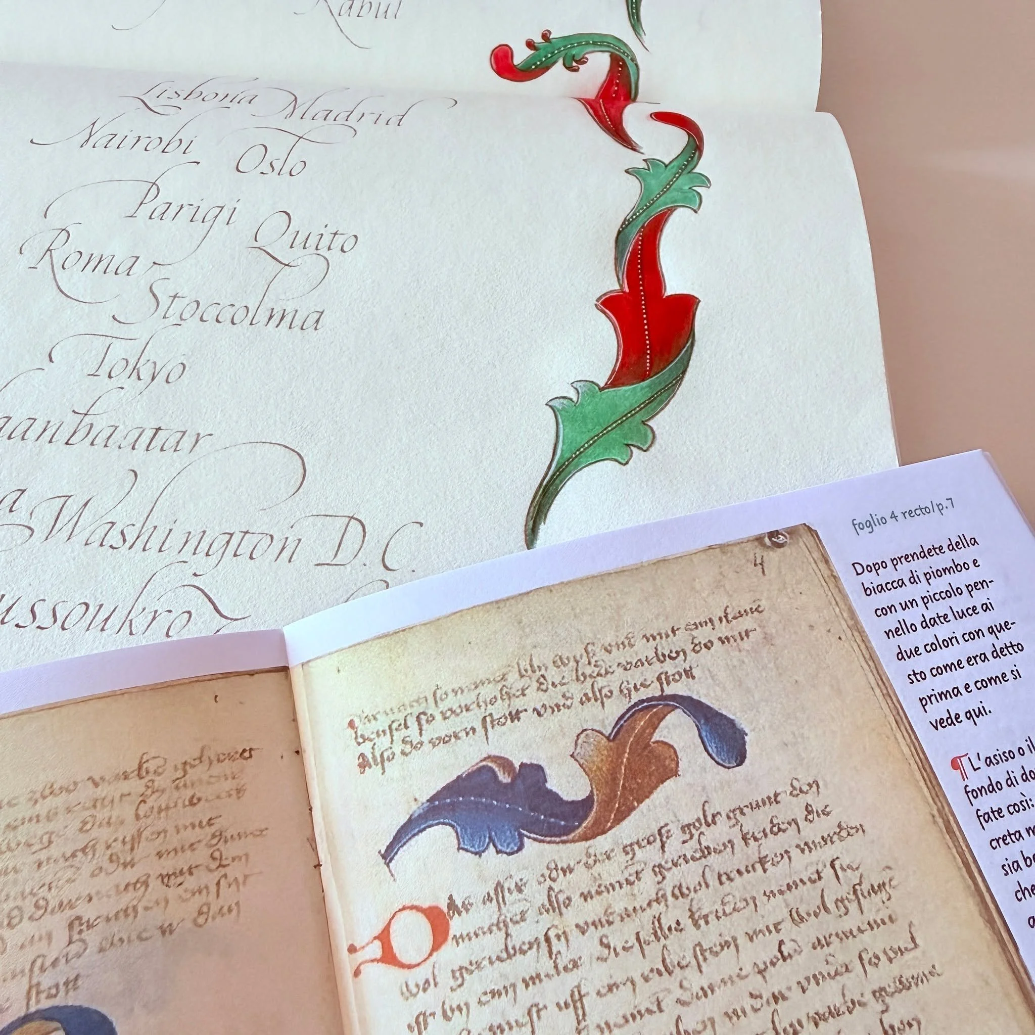 𝗔𝗣𝗥𝗜𝗟 𝗶𝗻 𝗺𝘆 #𝗜𝘁𝗮𝗹𝗶𝗰𝗯𝗼𝗼𝗸

Italic, flourishing and the study of leaves in the Goettinger Musterbuch that I got from @ivanozigiotti during his workshop in Rome hosted by @circolo_calligrafico_romano at the end of 2025.

 
____________