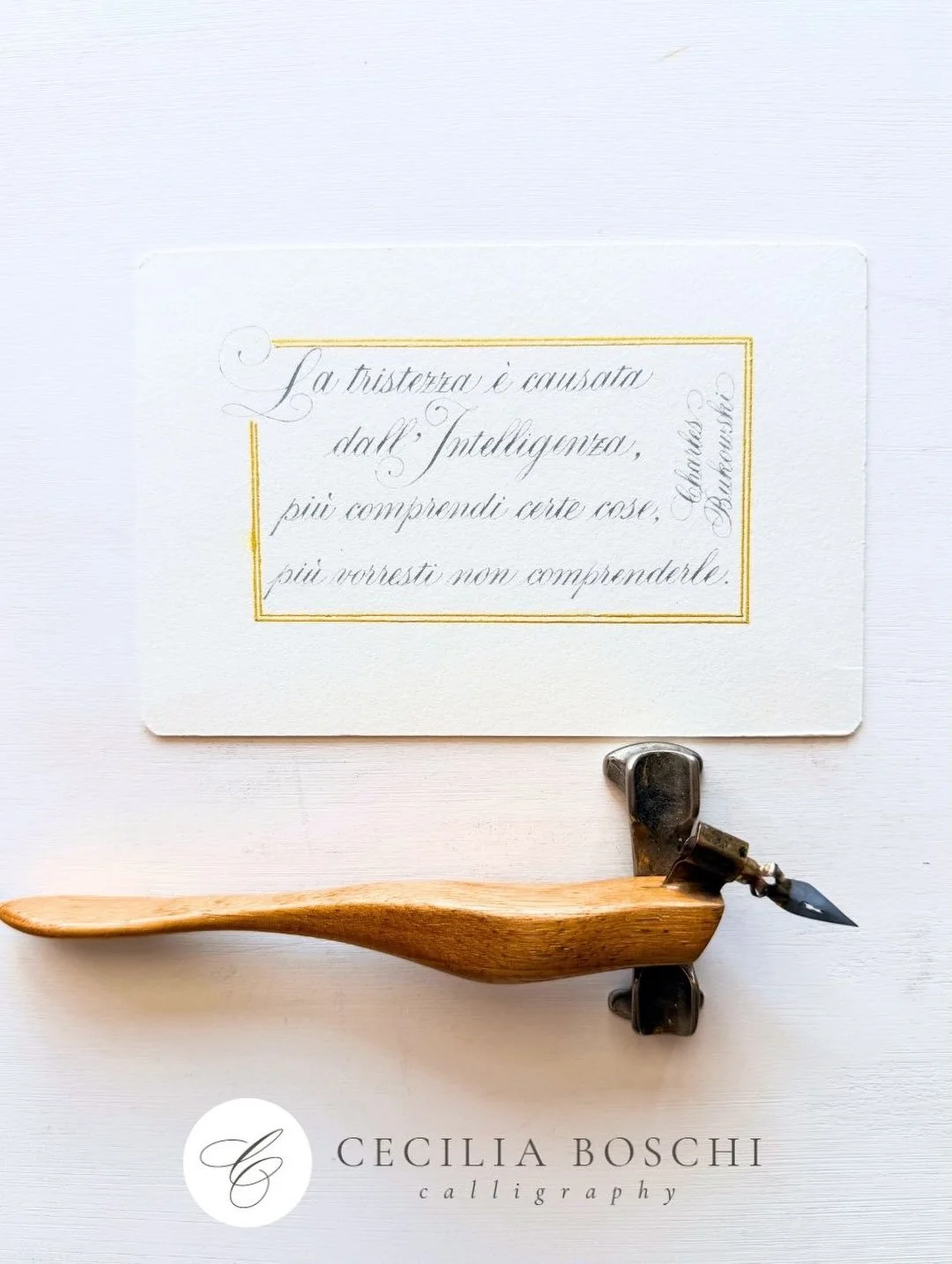 𝗦𝗮𝗱𝗻𝗲𝘀𝘀 𝗮𝗻𝗱 𝗜𝗻𝘁𝗲𝗹𝗹𝗶𝗴𝗲𝗻𝗰𝗲

&ldquo;Sadness is caused by intelligence. The more you understand certain things, the more you wish you didn&rsquo;t understand them.&rdquo; Charles Bukowski

Isn&rsquo;t it true?

The small magnifying 