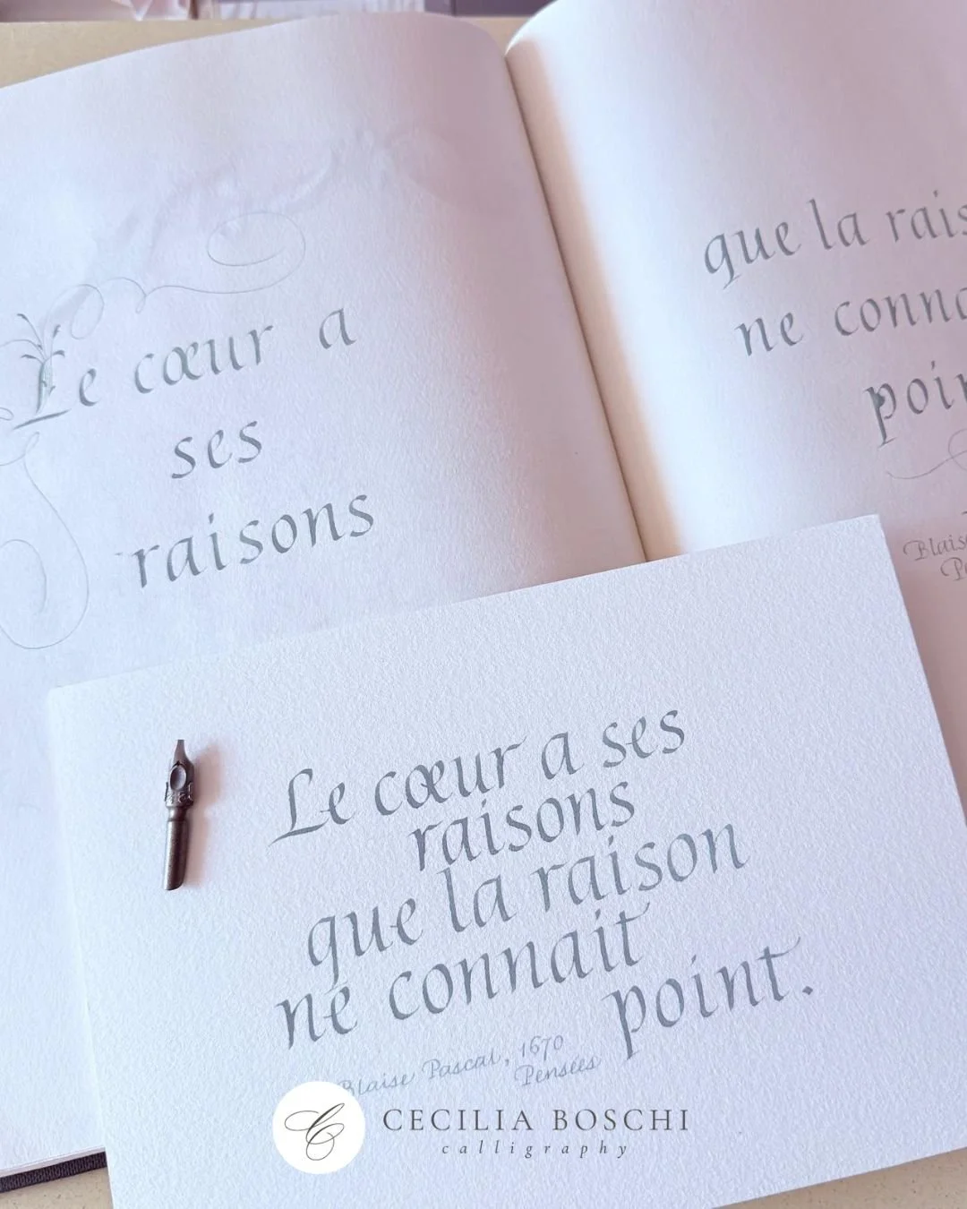 𝗠𝗔𝗬 𝗜𝗡 𝗠𝗬 #𝗜𝗧𝗔𝗟𝗜𝗖𝗕𝗢𝗢𝗞

You know by now that my Italic Book is a collection of ideas for later pieces.
This time I decided to try the idea immediately on a small piece with final paper.
And I seldom do more contemporary Italics, but I