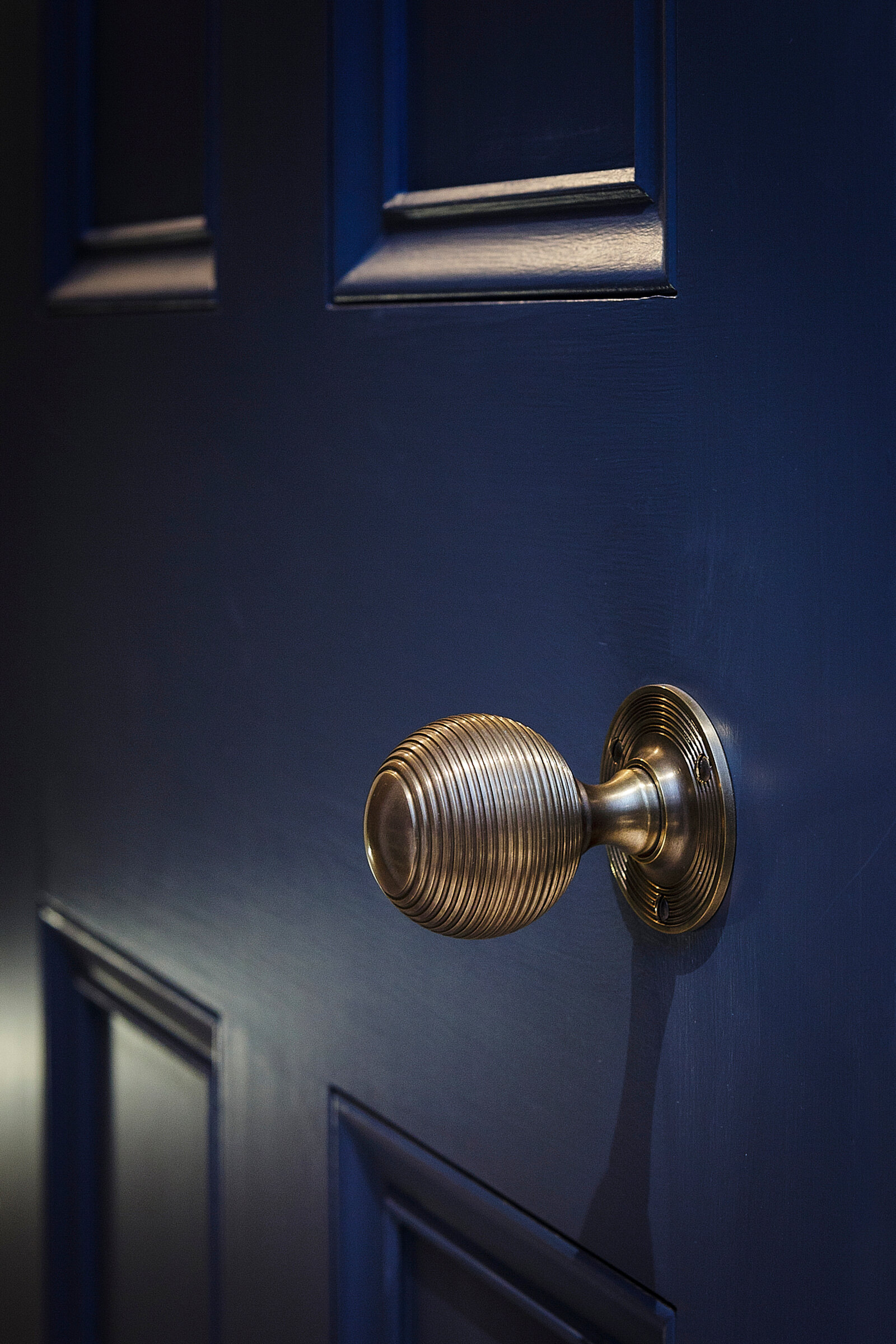 Lifestyle Products 101.jpg