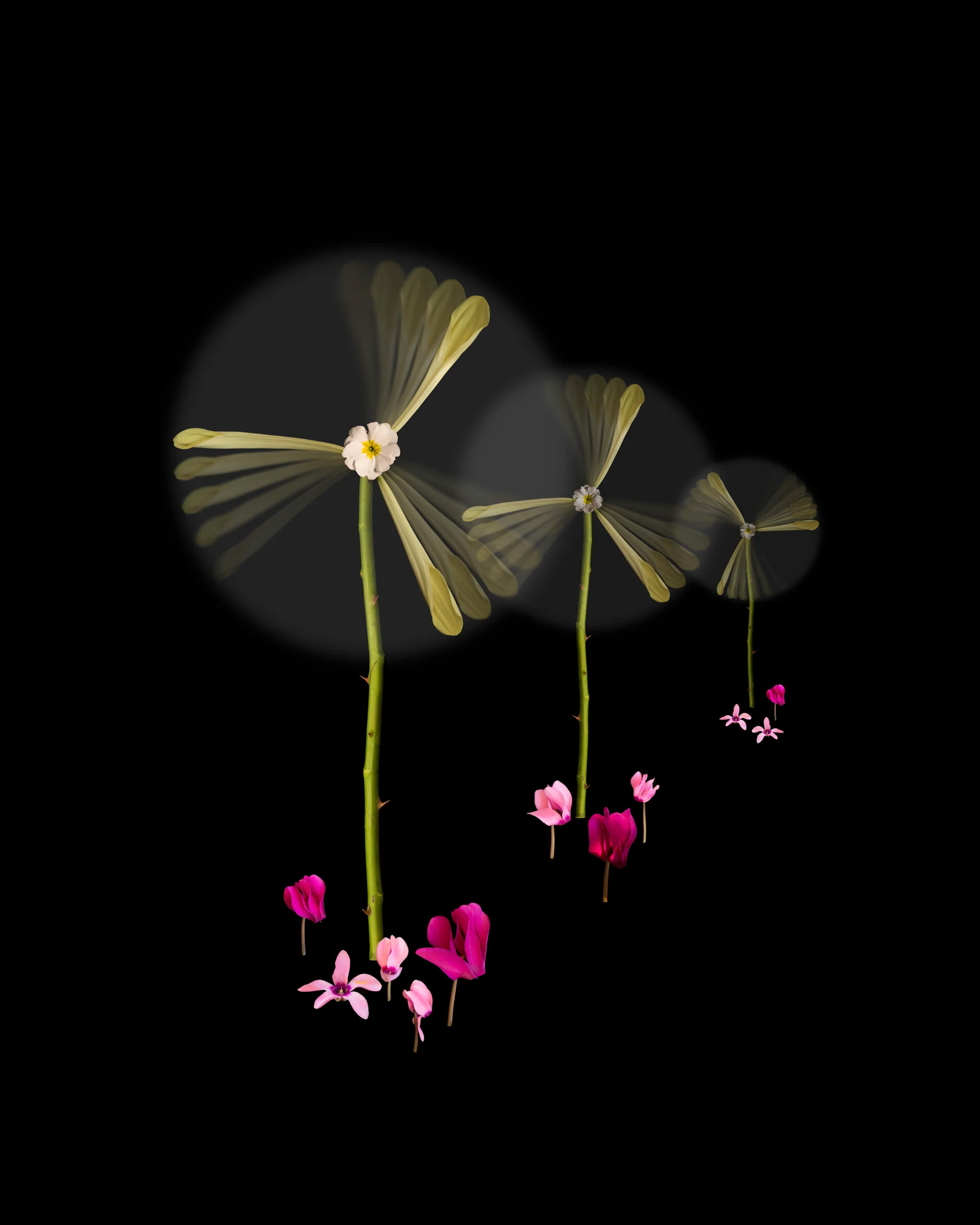 Lifestyle Products 115.jpg