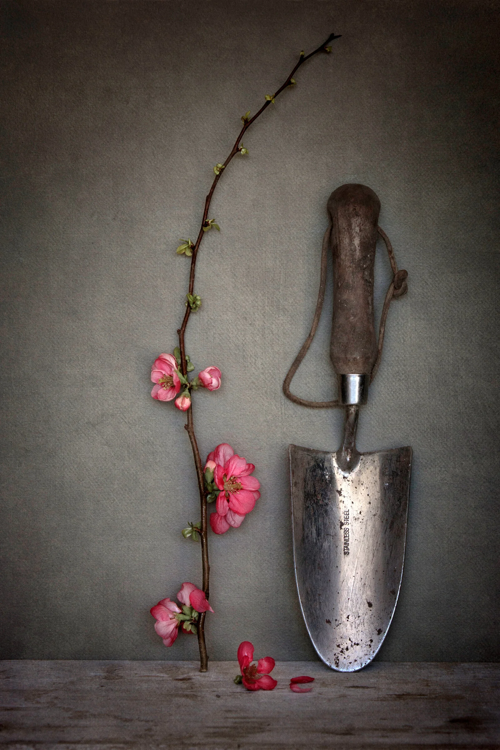 Lifestyle Products 066.jpg