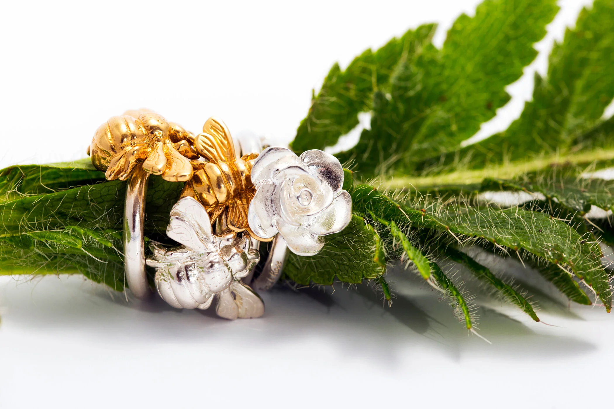 Lifestyle Products 021.jpg