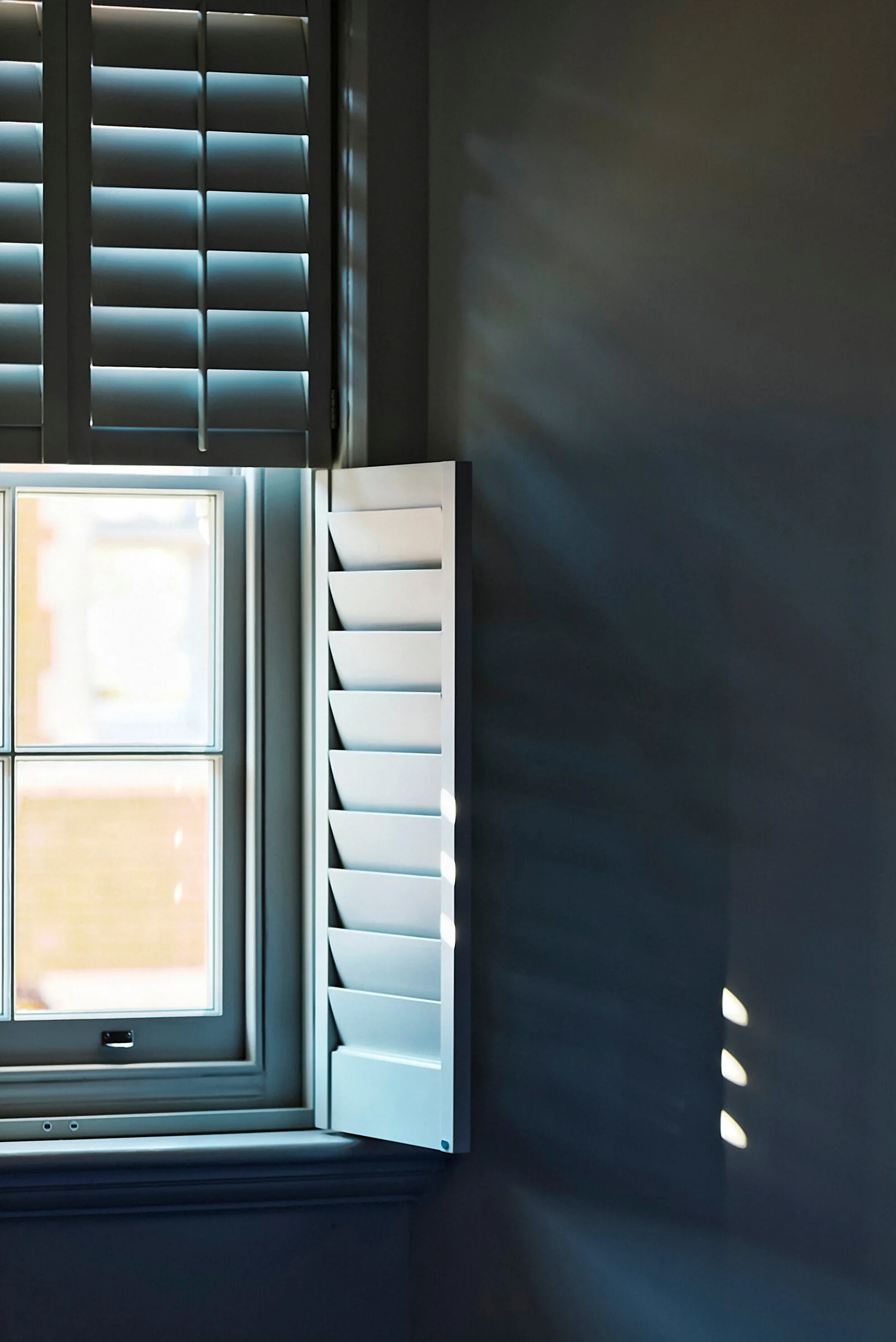 Lifestyle Products 081.jpg