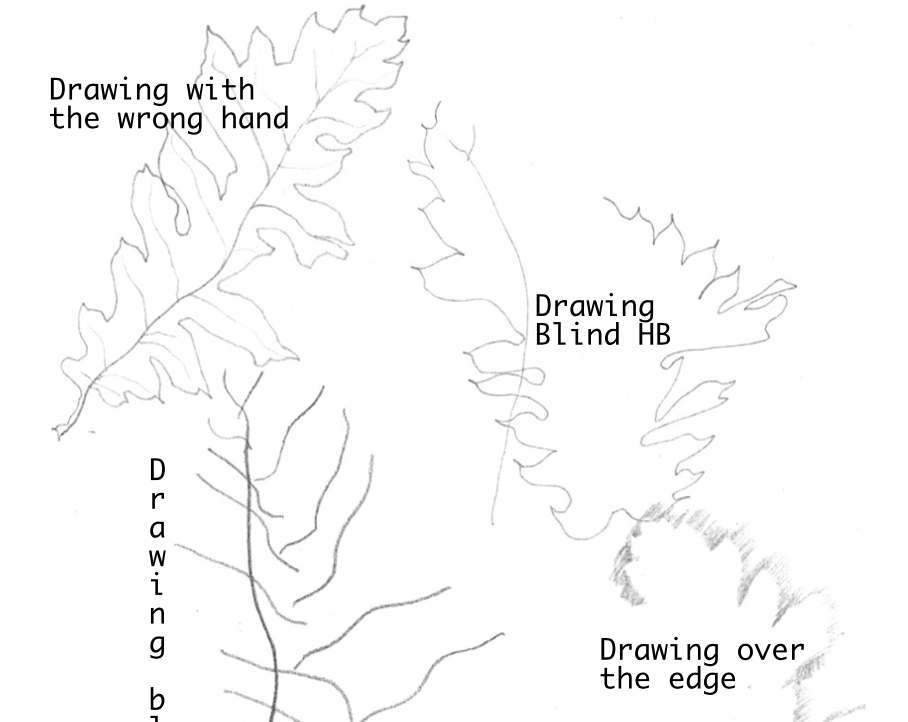 Prints : Leaves : Lines by Artist Karen Webster