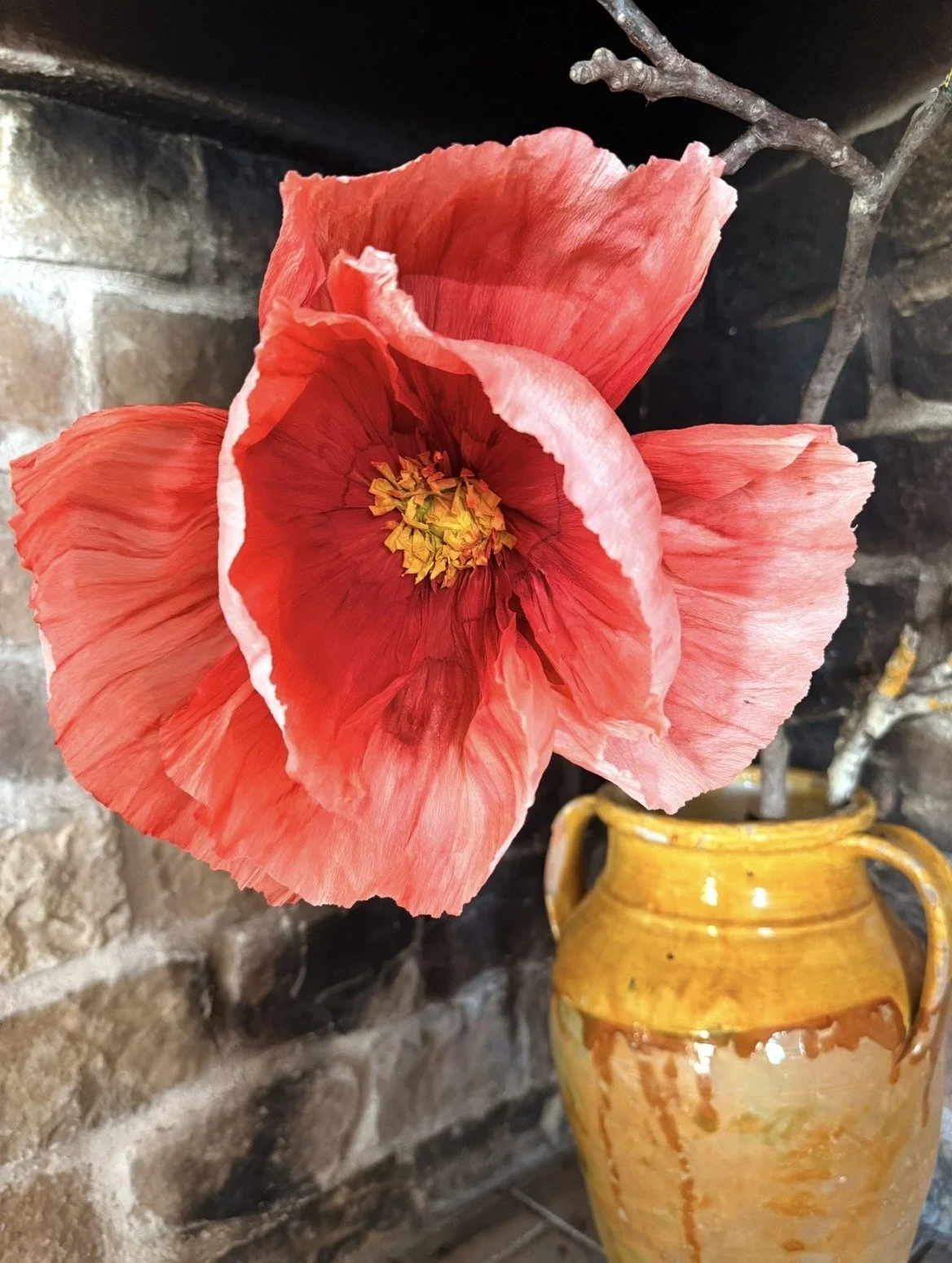 IMG_5670.jpeg