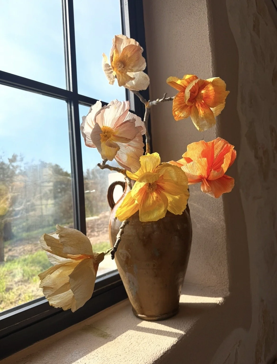 IMG_5668.jpeg