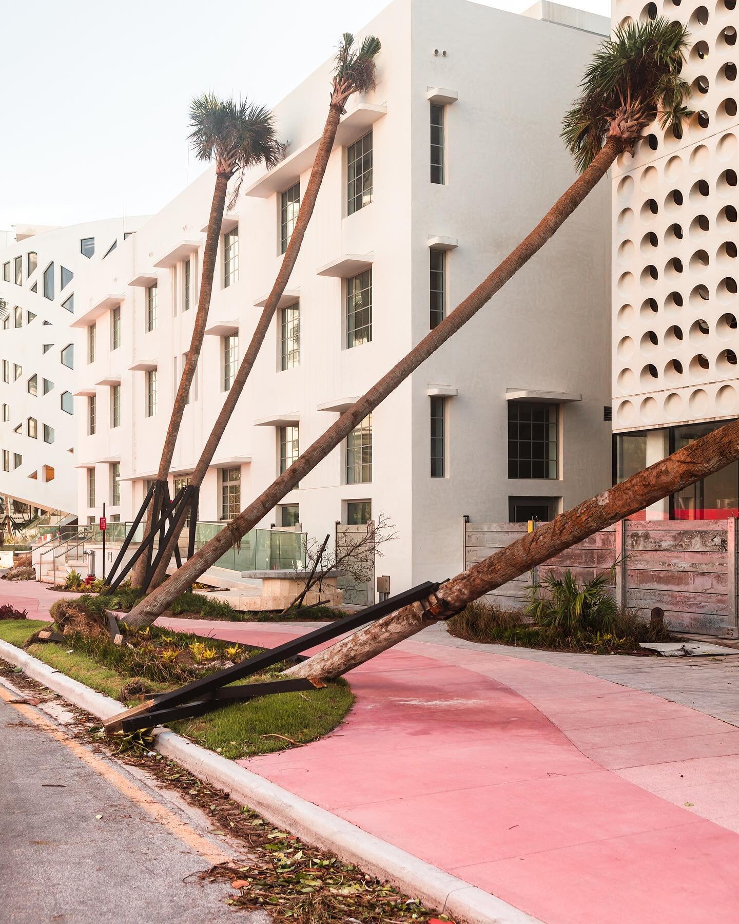 Pink Sidewalk. From Anastasia Samoylova&rsquo;s, @anasamoylova, FloodZone project. 

Listen to her story in New Climate Narratives EP2 wherever you get your podcasts.