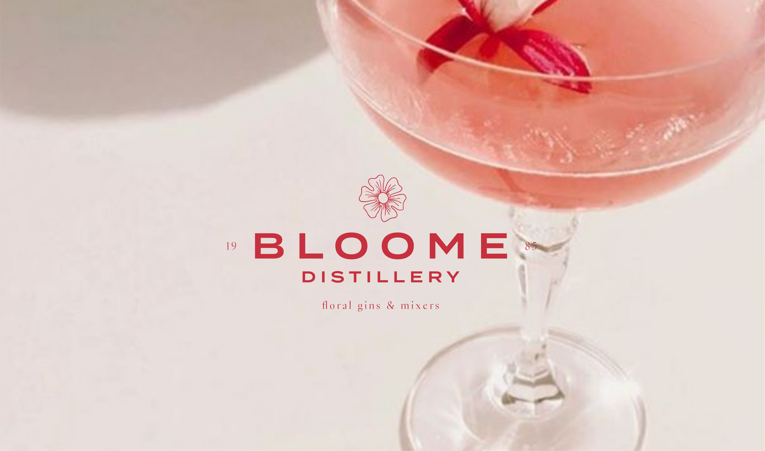 BLOOME-behance_Tekengebied 1.png