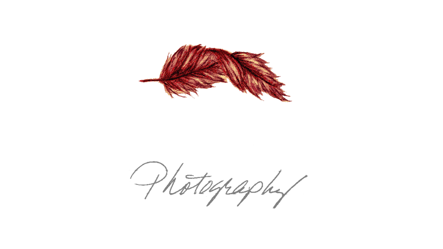 Phoenix Down Photography