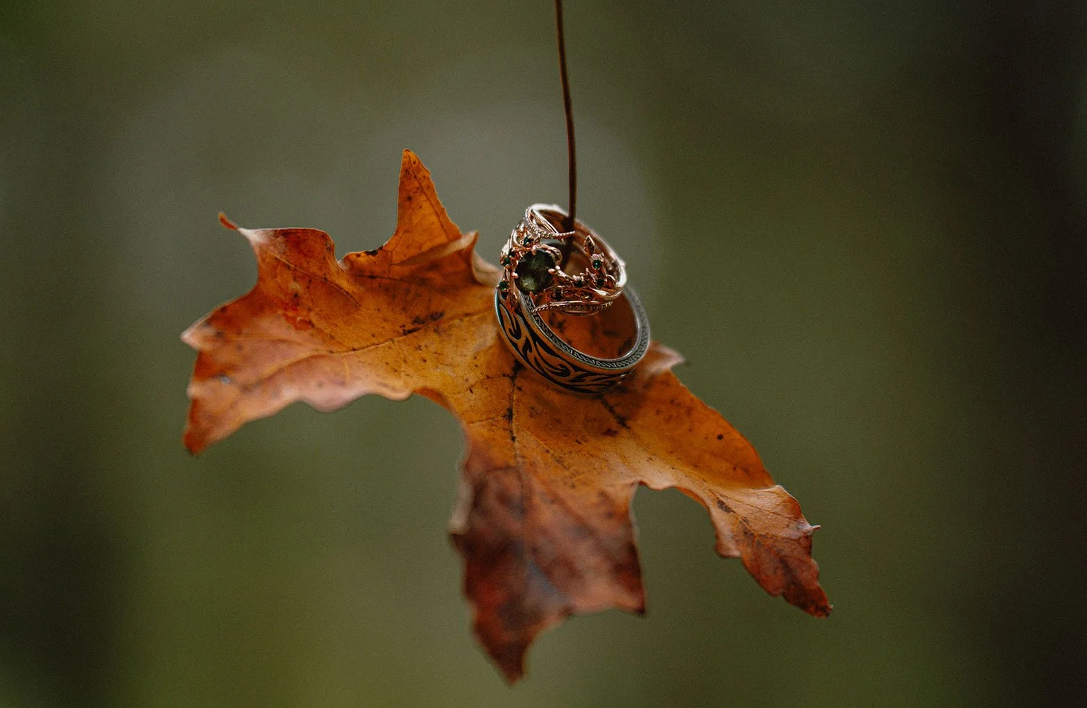 A brown autumn leaf with jewelry, including rings and a ring, resting on it, hanging from a thread against a blurred green background.