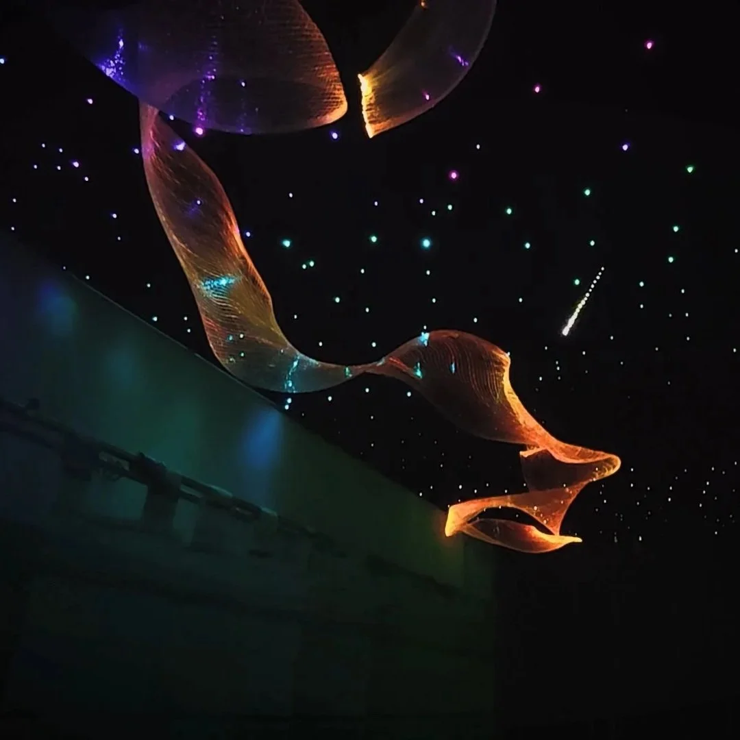 stellar_halo_sarkifeny_long_v2.mp4_snapshot_00.26_%5B2021.02.15_12.01.14%5D.jpg