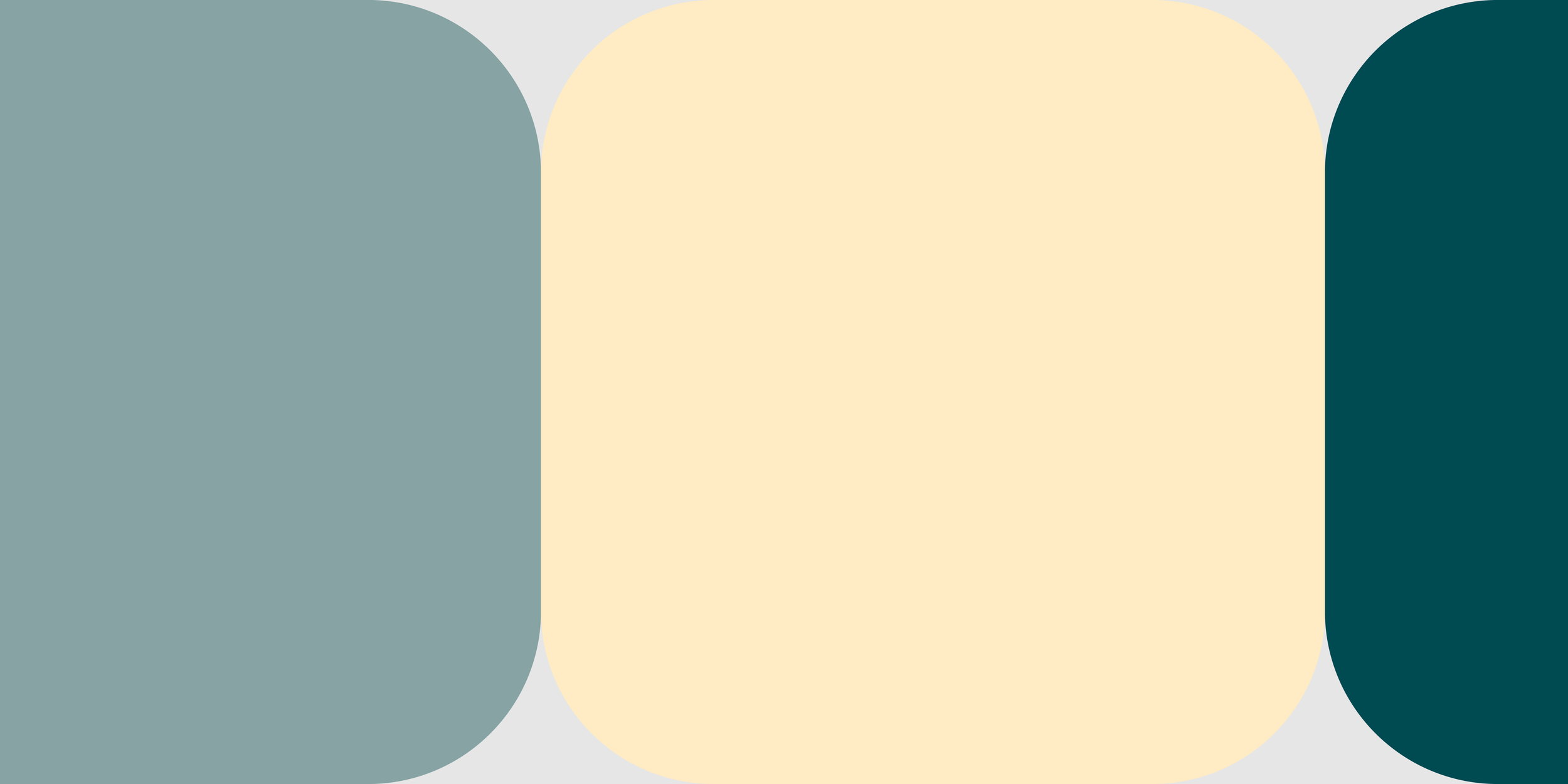 CASE_e-nettet_farve_3.png