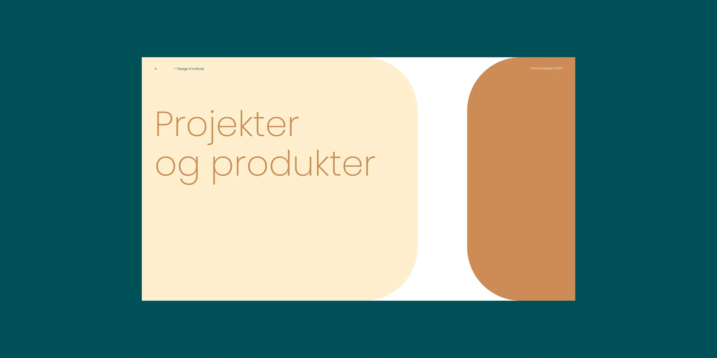 CASE e-nettet_halvaar_3_2025.jpg