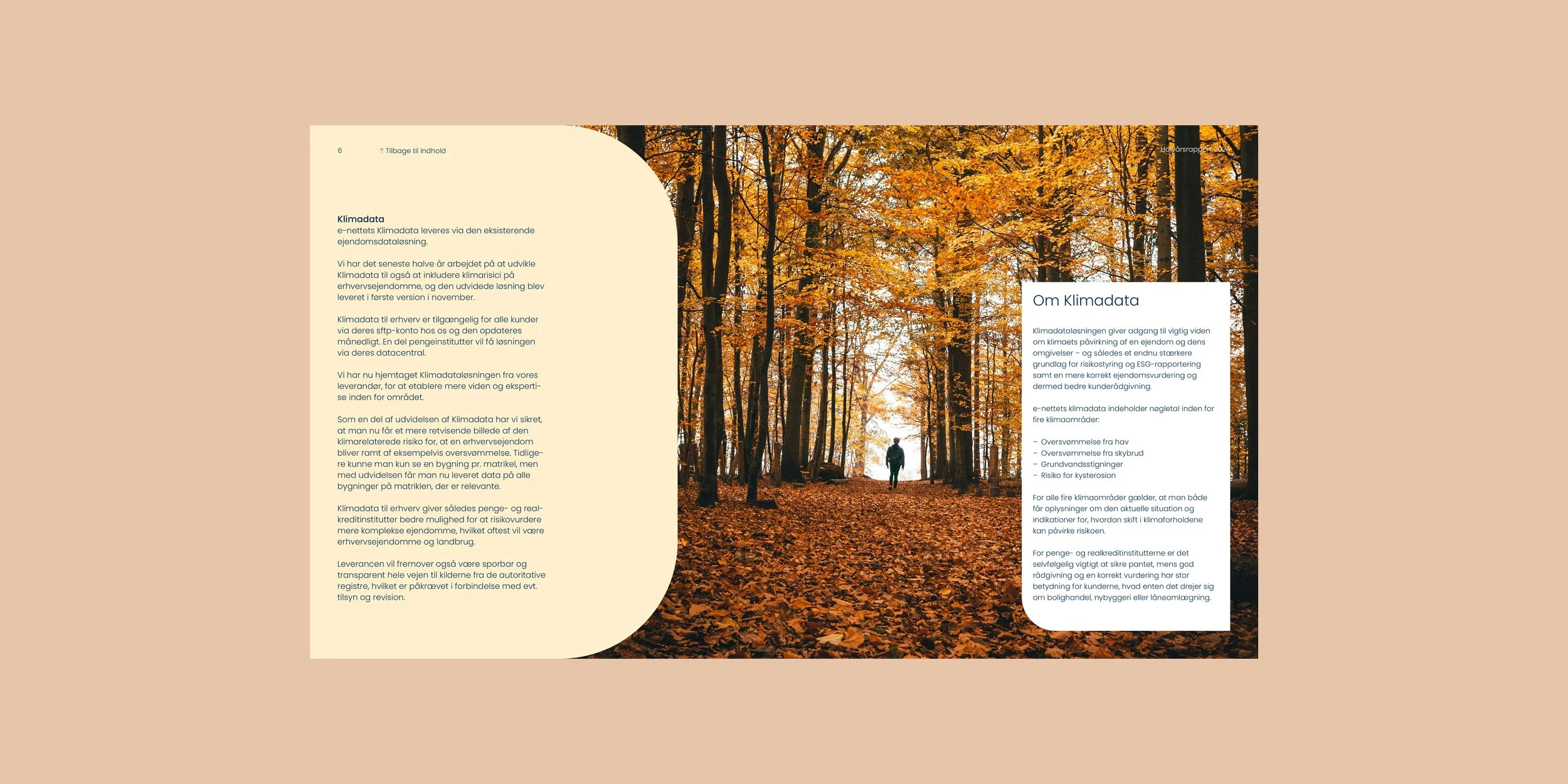 CASE e-nettet_halvaar_4_2025.jpg