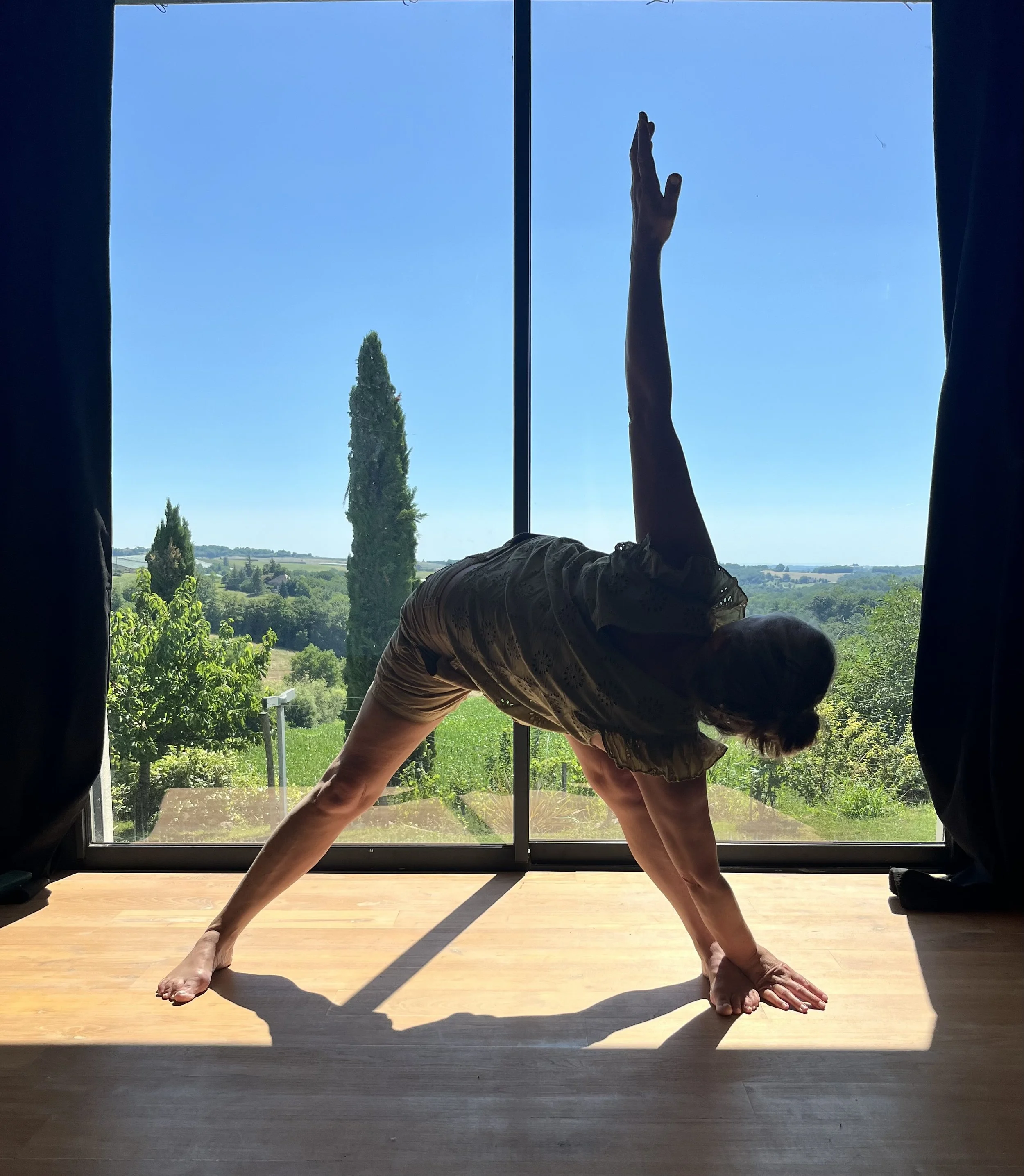 Yoga pour la Purification, stage un mois en visio avec ann johnston