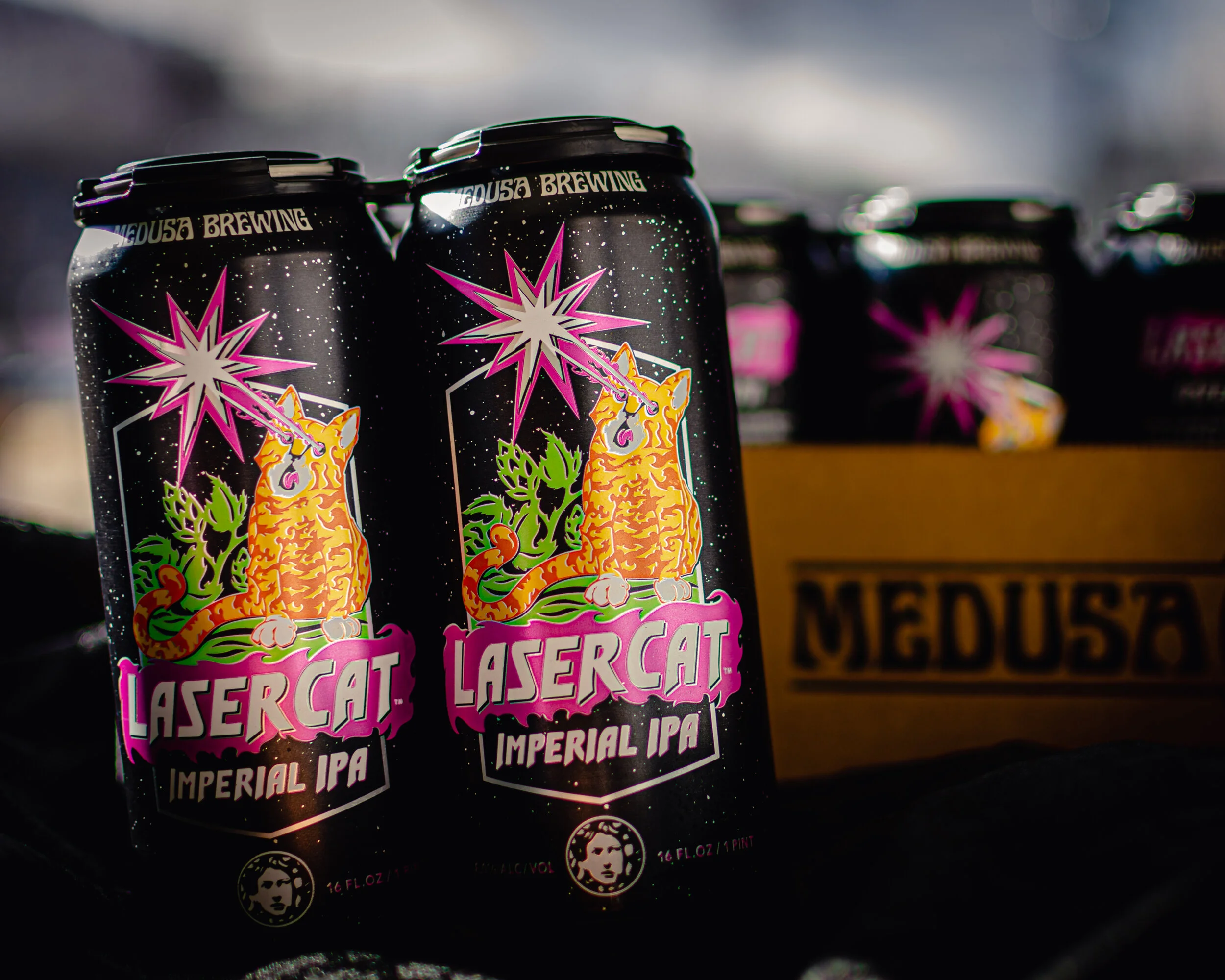 Gallery 3 — Medusa Brewing Company